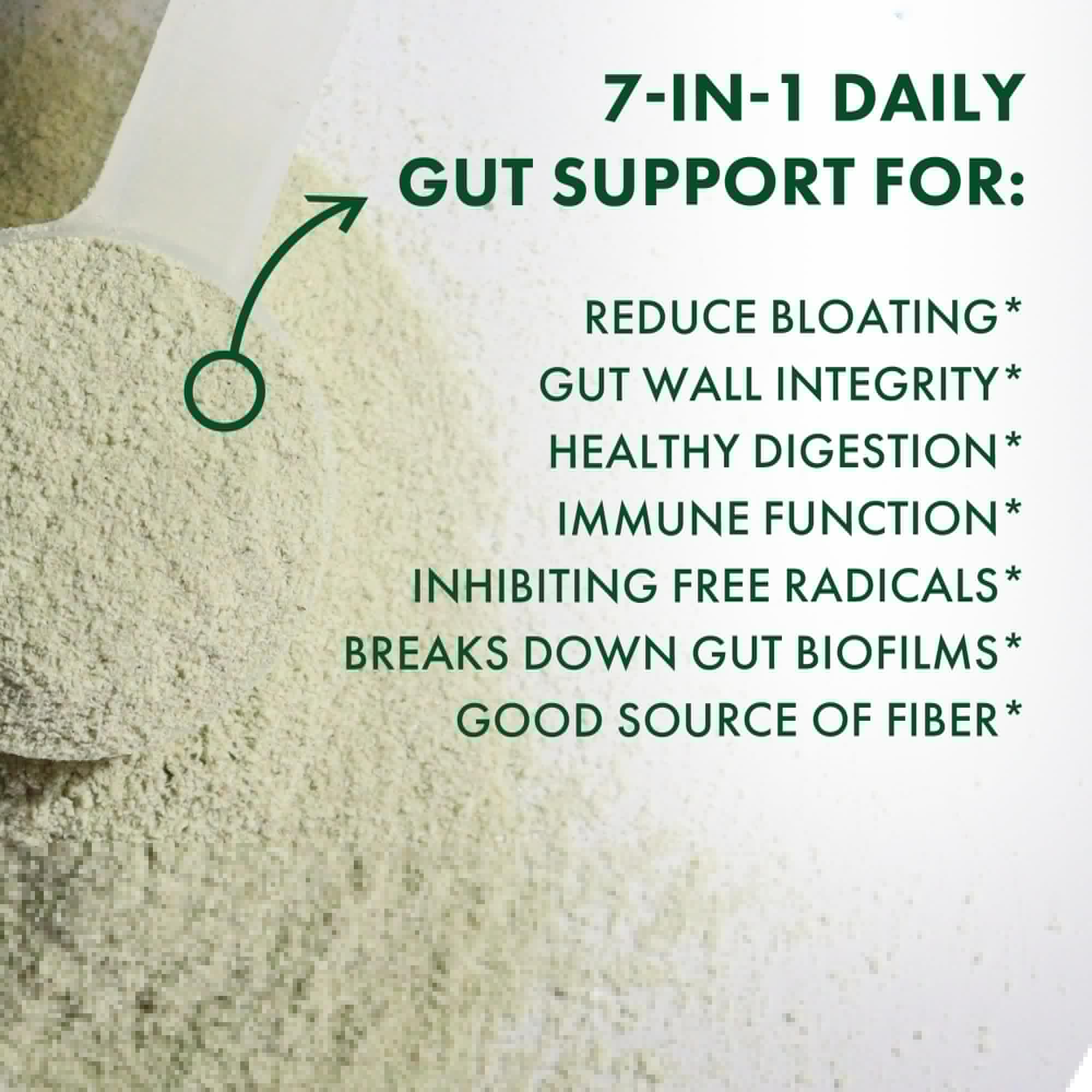 BIOHM Digestive Greens, Green Superfood Powder (7.4 Oz, 30 Servings) Immune & Gut Health Support with Antioxidants, Vitamins, Probiotics & Enzymes, Good Source of Fiber, Berry Flavor BIOHM Au supplements
