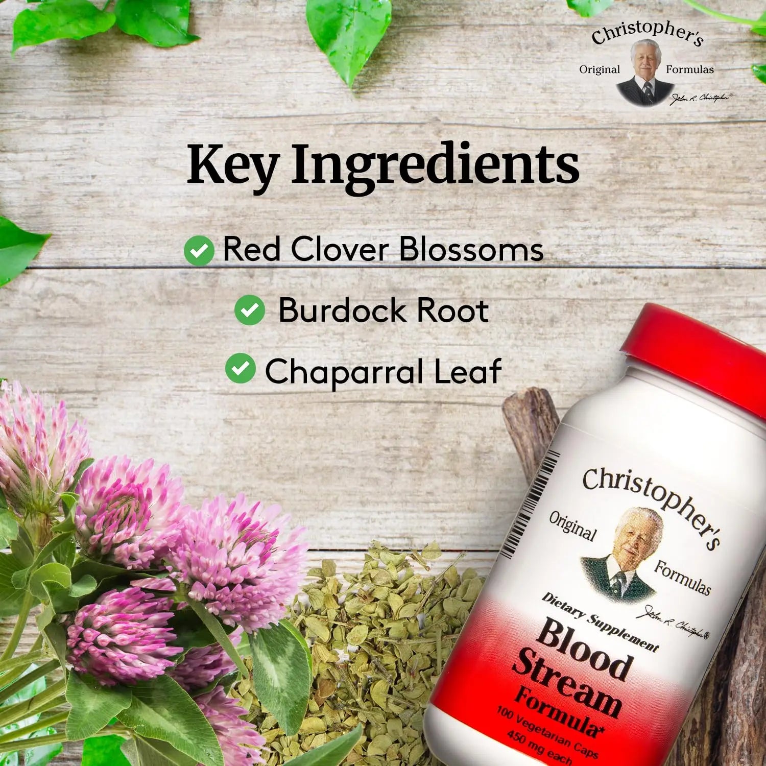 DR. CHRISTOPHER'S Formulas Blood Stream Formula, 100 Cap Christopher's Original Formulas Au supplements