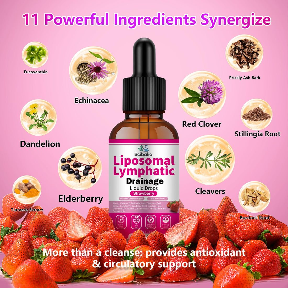 Scibalia Liposomal Lymphatic Drainage Drops, 11-in-1 Organic Lymphatic Support with Red Clover Echinacea Elderberry Burdock Root for Lymph Cleanse Immune Support & Daily Detox Vegan Non-GMO Scibalia Au supplements