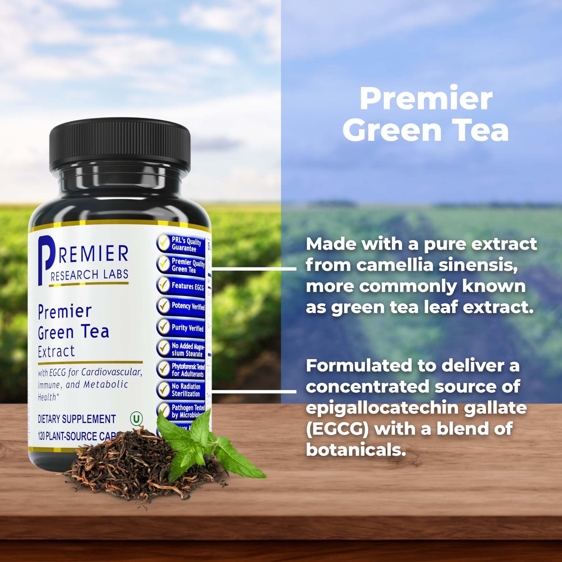 Premier Research Labs Premier Green Tea Extract - Green Tea Capsules, Green Tea Extract Pills, Green Tea Supplement with ECGC, Camellia Sinensis, Pure, Vegan Friendly - 120 Vegetarian Capsules Premier Research Labs Au supplements
