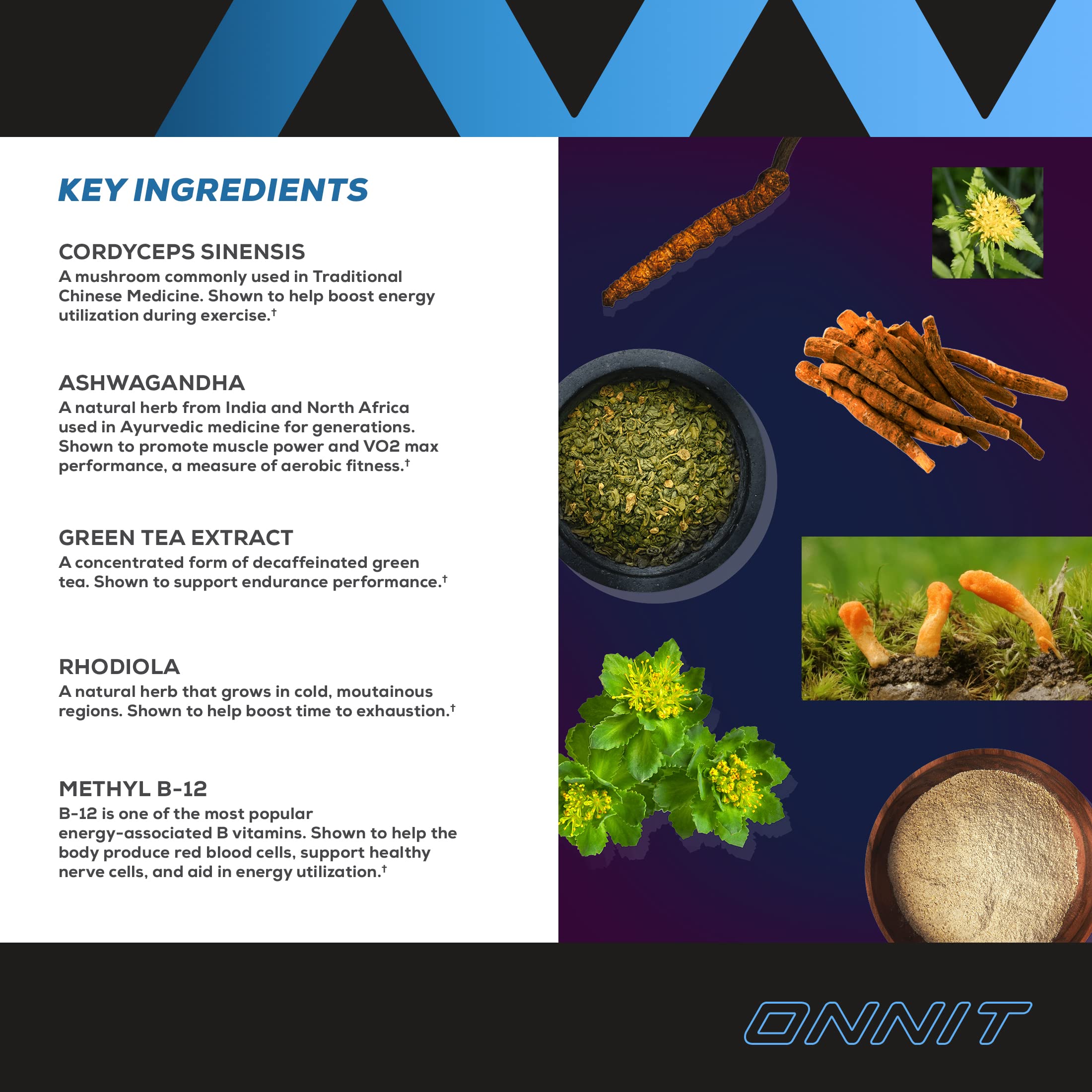 Onnit Shroom Tech SPORT: Clinically Studied Preworkout Supplement with Cordyceps ONNIT Au supplements