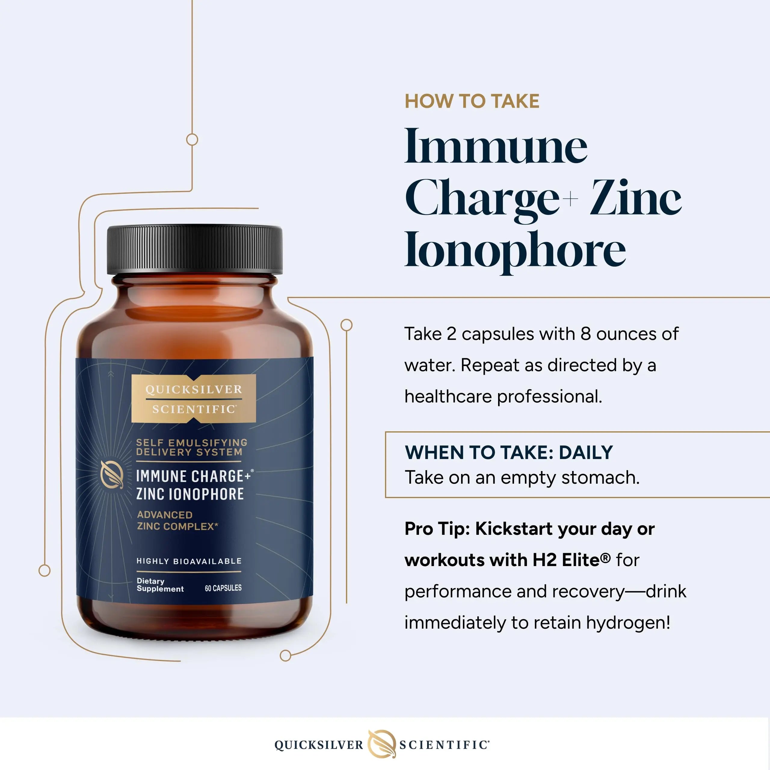 Quicksilver Scientific Immune Charge+ Zinc Ionophore - Zinc Supplement Complexed with Quercetin, Luteolin, Hesperetin Immune + GI Support (60 Capsules) Quicksilver Scientific Au supplements