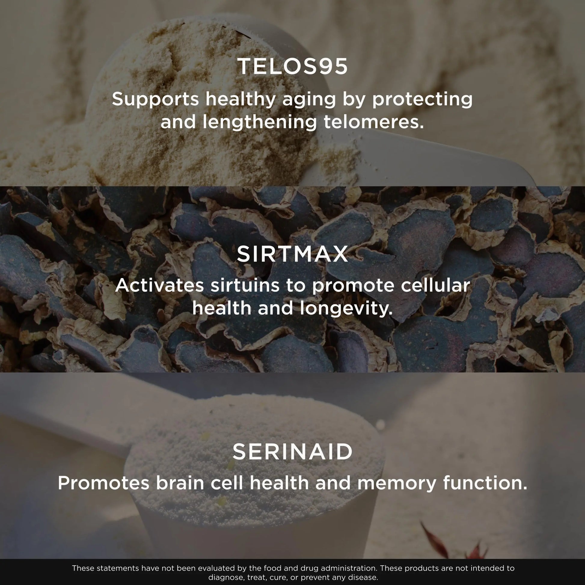 The Genius Brand Genius Eternal - Cellular Repair Supplement for Daily Clarity - Supports Brain Health, Endurance, Energy, Focus, Memory & Vitality - Non-GMO - 60 Veggie Capsules The Genius Brand Au supplements