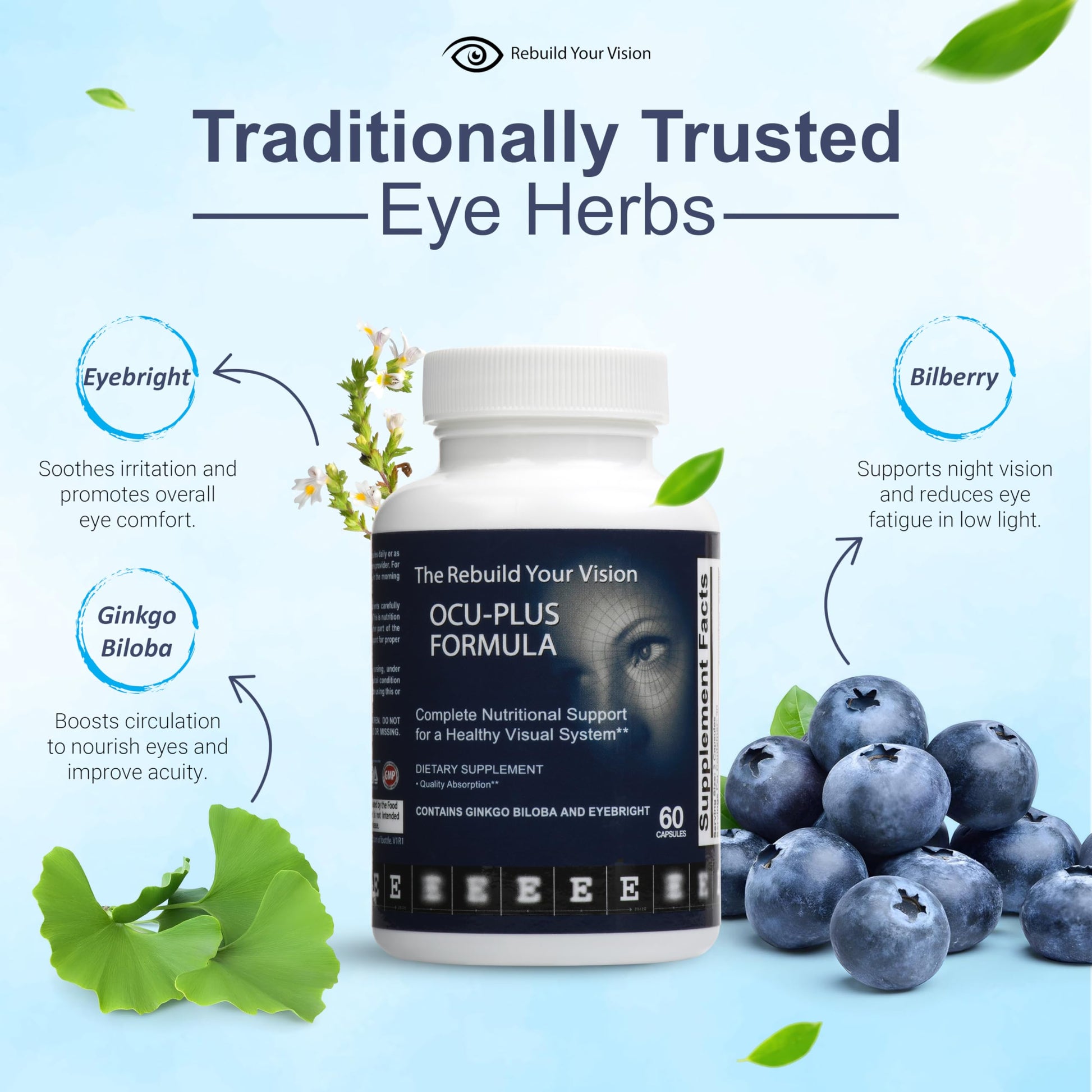 Rebuild Your Vision Ocu-Plus Formula – Eye Health Supplement with Lutein & Zeaxanthin – Supports Visual Clarity, Night Vision & Macular Health – with Bilberry, Ginkgo Biloba & NAC – 60 Capsules Rebuild Your Vision Au supplements