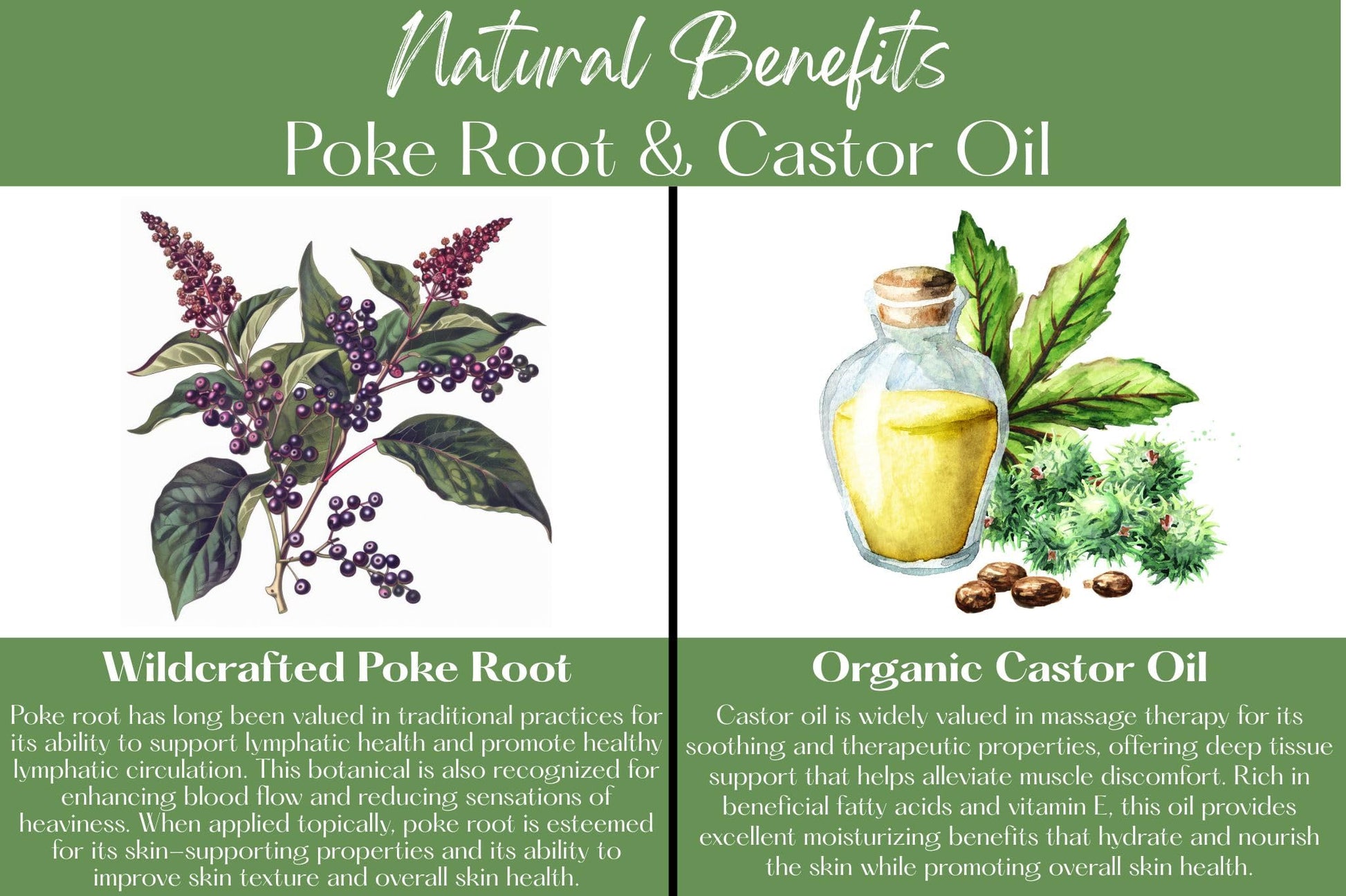 Organic Poke Root Castor Oil Salve | Vegan Lymphatic Support | Enriched with Essential Oils | Cysts, Boils, Fibroids, Swollen Lymph Nodes, Breast & Joint (1oz, Lilac) Living Farms Au supplements