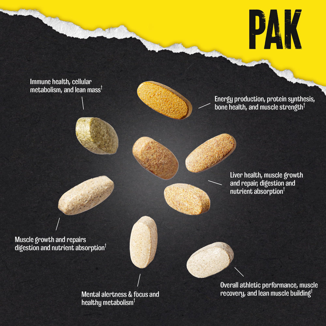 Animal Pak - Convenient Multivitamin for Men & Women Daily All-in-One Vitamin & Supplement Pack - Zinc, Vitamins C, B, D, Amino Acids, and Immune Support - Sports Nutrition Performance - 44 Count Animal Au supplements