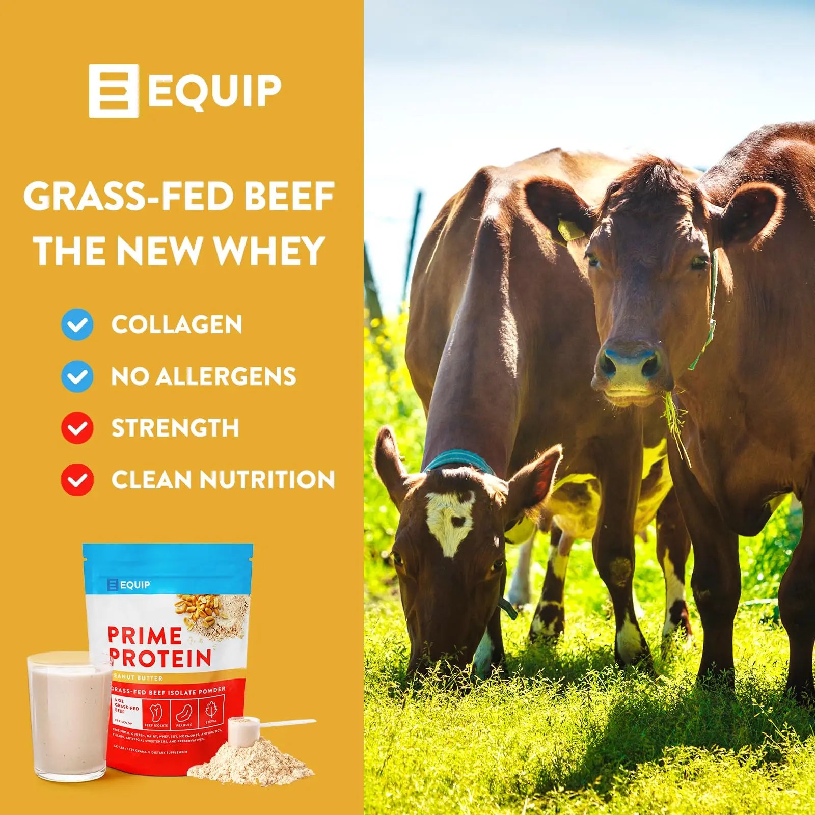 Equip Foods Prime Protein - Grass Fed Beef Protein Powder Isolate - Paleo and Keto Friendly Equip Au supplements