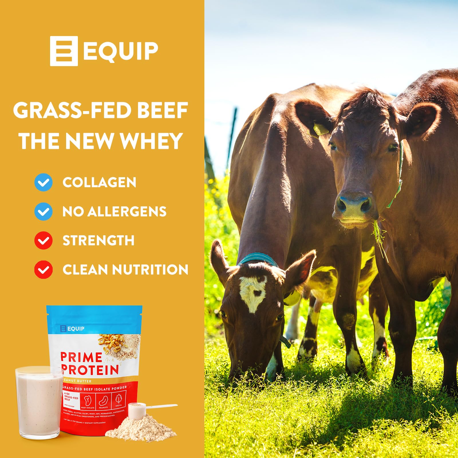 Equip Foods Prime Protein - Grass Fed Beef Protein Powder Isolate - Paleo and Keto Friendly Equip Au supplements