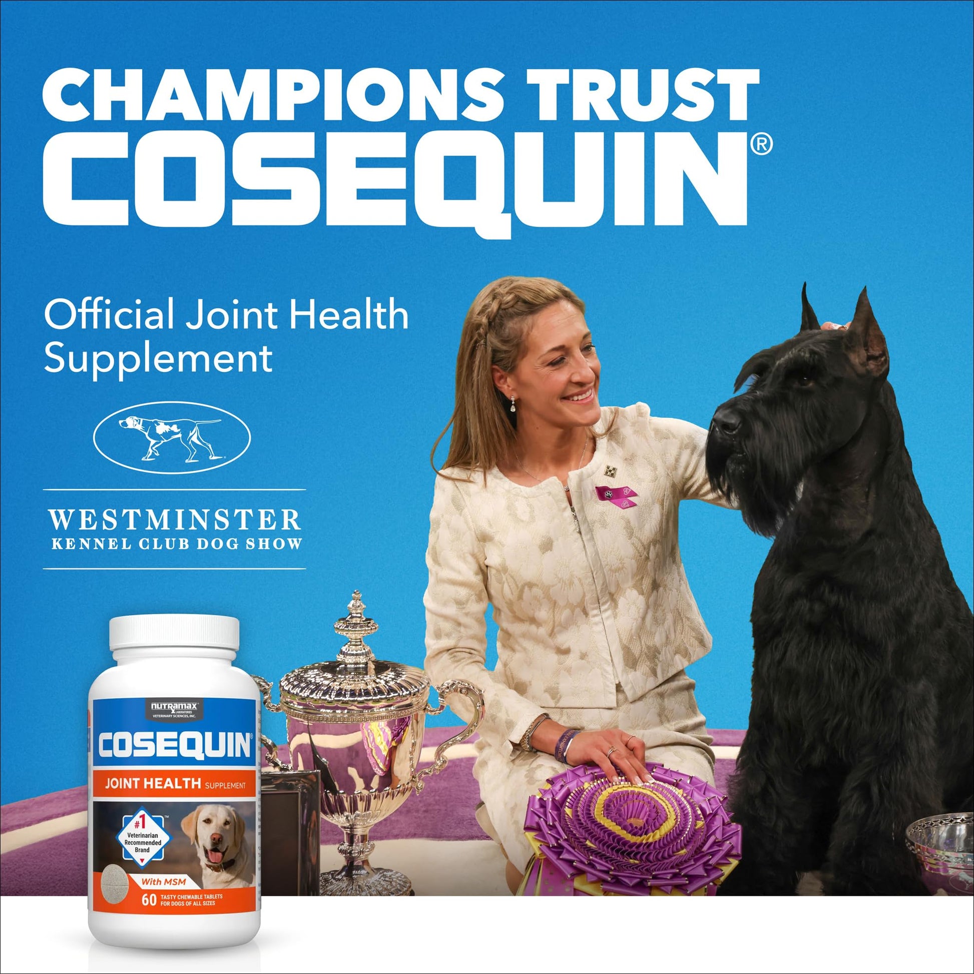Nutramax Laboratories Cosequin Maximum Strength Joint Health Supplement for Dogs - With Glucosamine, Chondroitin, and MSM, 2 Pack, 264 Total Chewable Tablets Nutramax Laboratories Au supplements