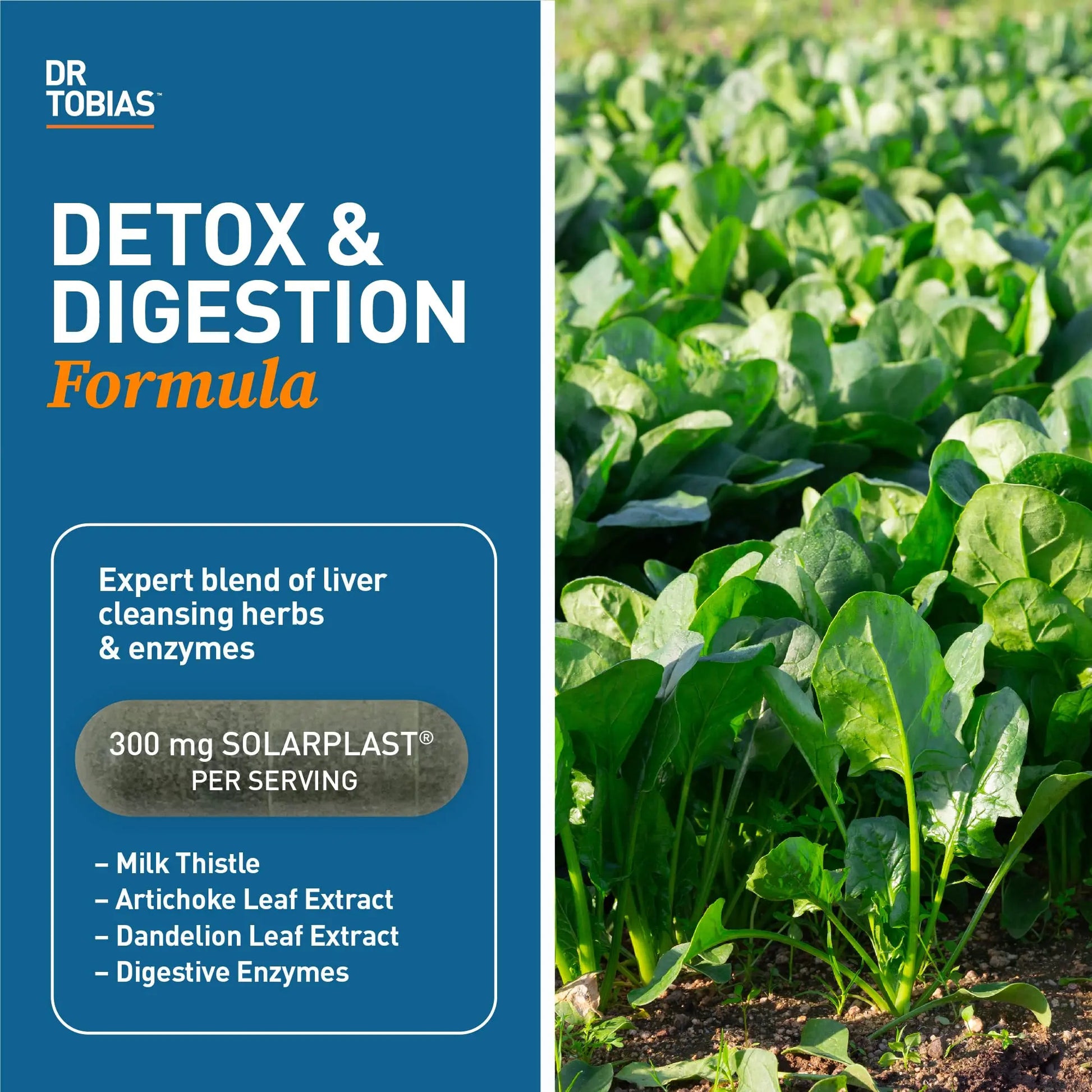 Dr. Tobias Liver 21 Day Cleanse, Herbal Liver Detox Cleanse with Solarplast, Artichoke Dr. Tobias Au supplements
