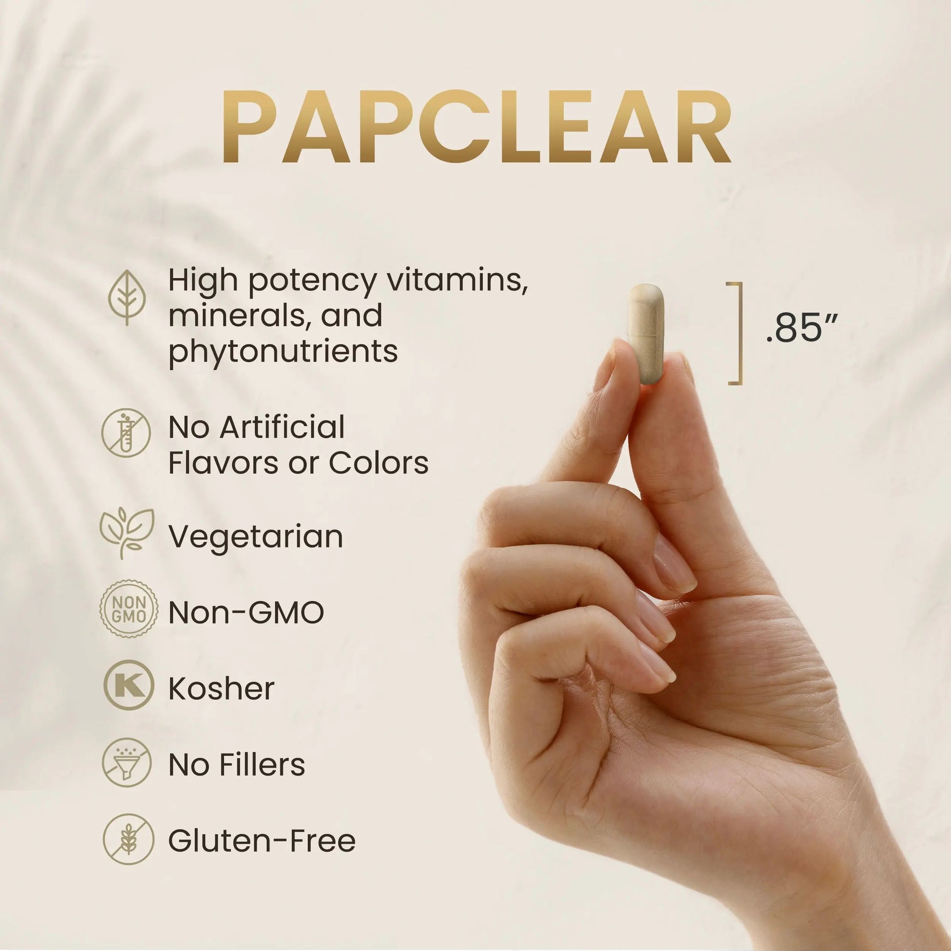 HPD Rx PAPCLEAR Physician Formulated | All Natural HPV Immune Support Supplement HPD Rx Au supplements