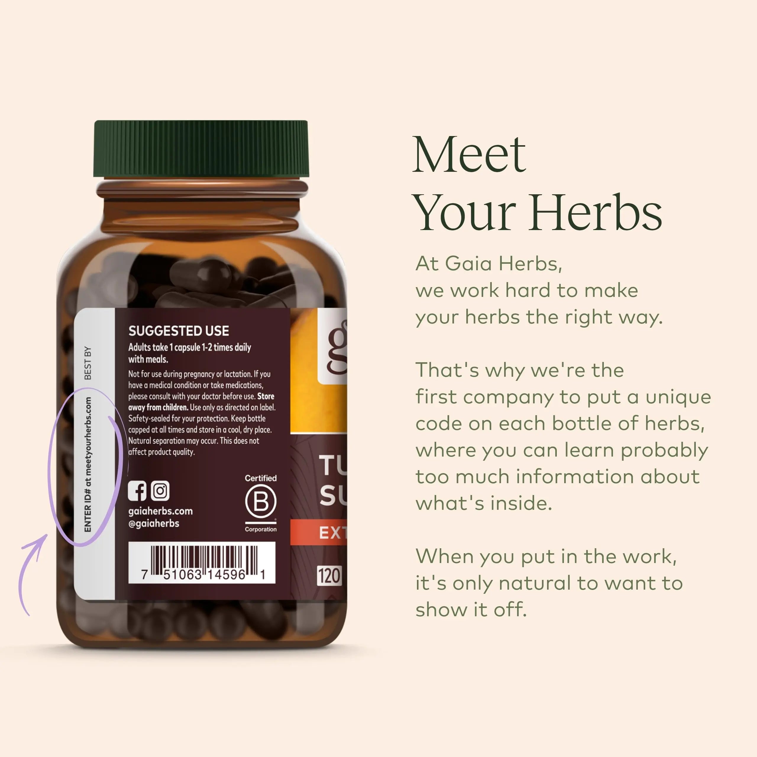 Gaia Herbs Organic Lion’s Mane Mushroom - Brain and Nerve Support Supplement Gaia Herbs Au supplements