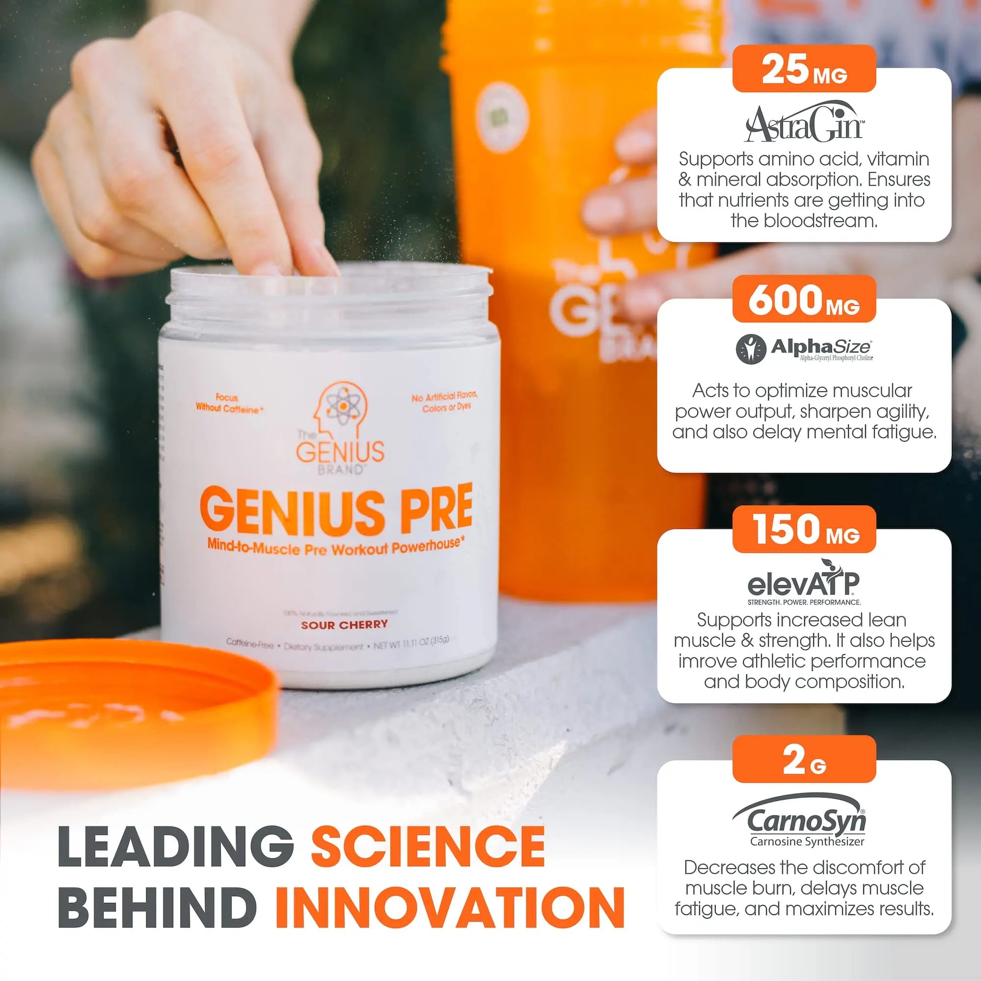 Genius Pre Workout Powder, Sour Cherry, and Genius Micronized Creatine Monohydrate The Genius Brand Au supplements