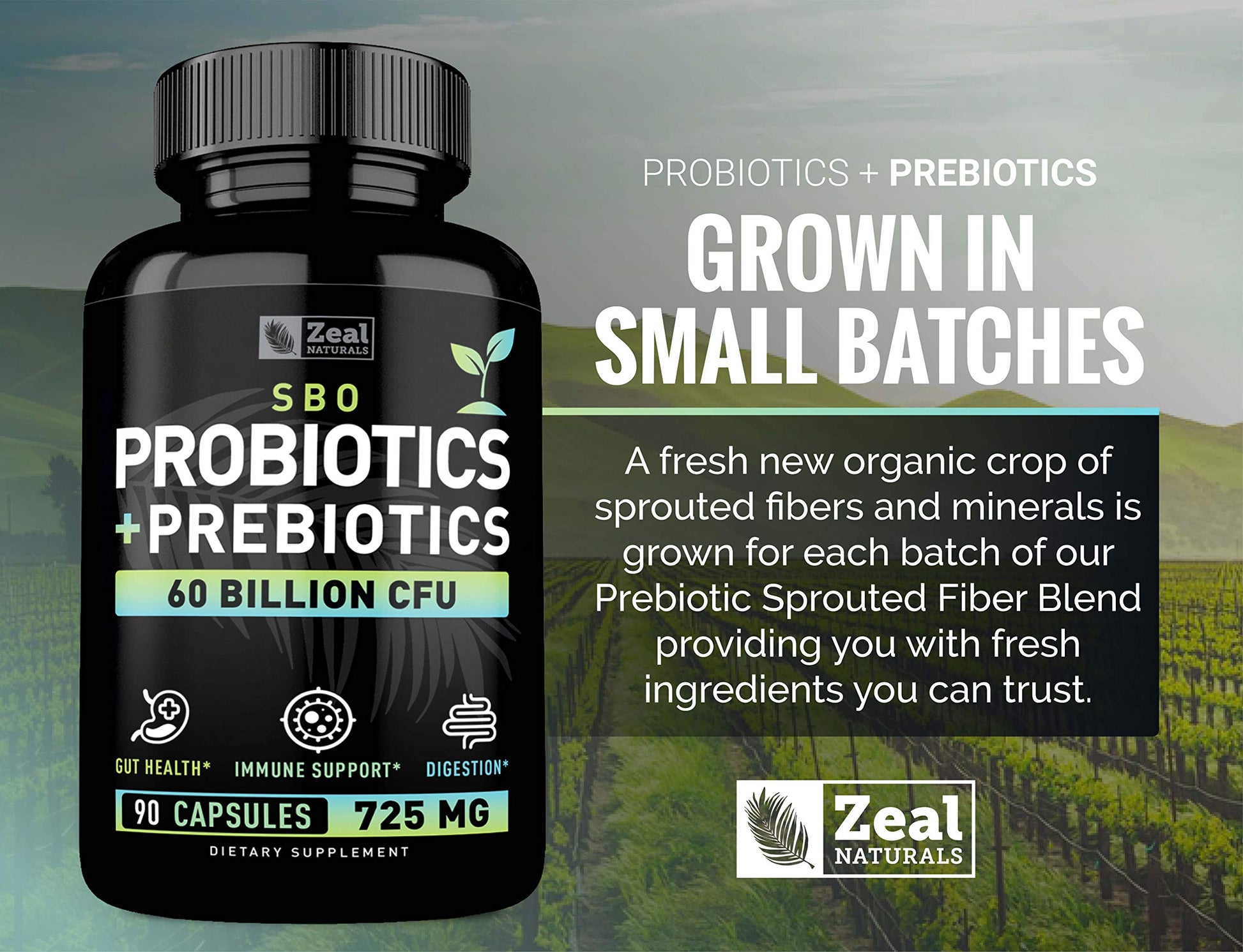 Probiotics and Prebiotics + SBO Probiotics (60 Billion CFU | 90 Capsules) Acidophilus Probiotic w. Saccharomyces Boulardii, Bifidobacterium + Spore Probiotic & Organic Sprouted Prebiotic Fiber Blend Zeal Naturals Au supplements