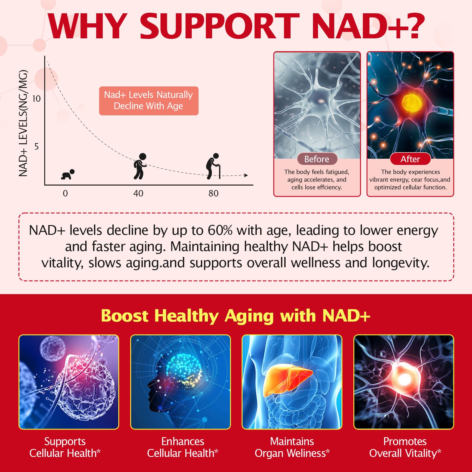 KITNOBLIS NAD+ Supplement for Women 1000mg - High Potency Cellular Energy Booster with PQQ, Resveratrol - Health, Anti-Aging Support （21pcs） KITNOBLIS Au supplements