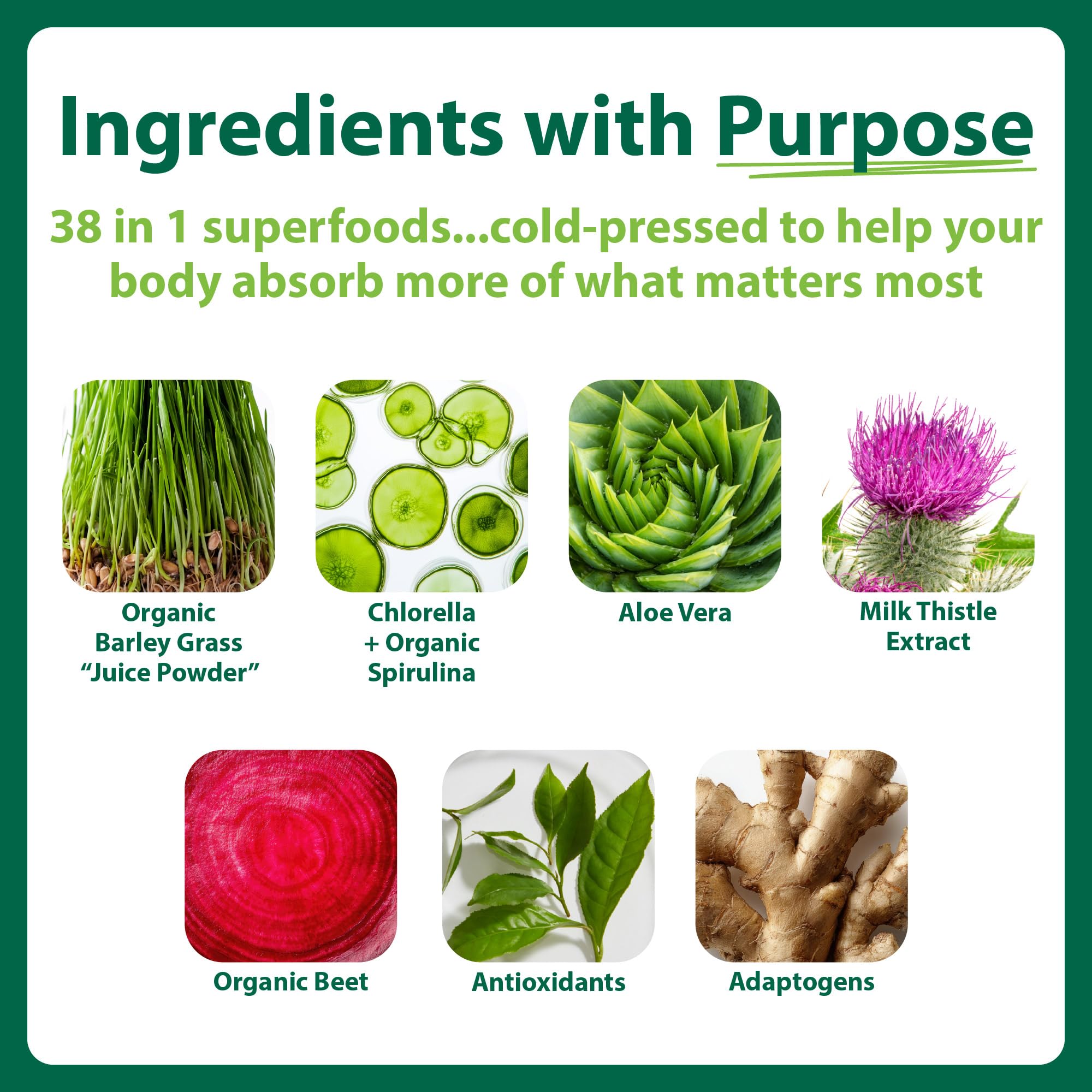 MacroLife Naturals Macro Greens Superfood Powder – 38 Superfoods with Probiotics, Digestive Enzymes & Adaptogens | Non GMO, Vegan, Gluten Free | 18B CFU | 10 oz (30 Servings) MacroLife Naturals Au supplements