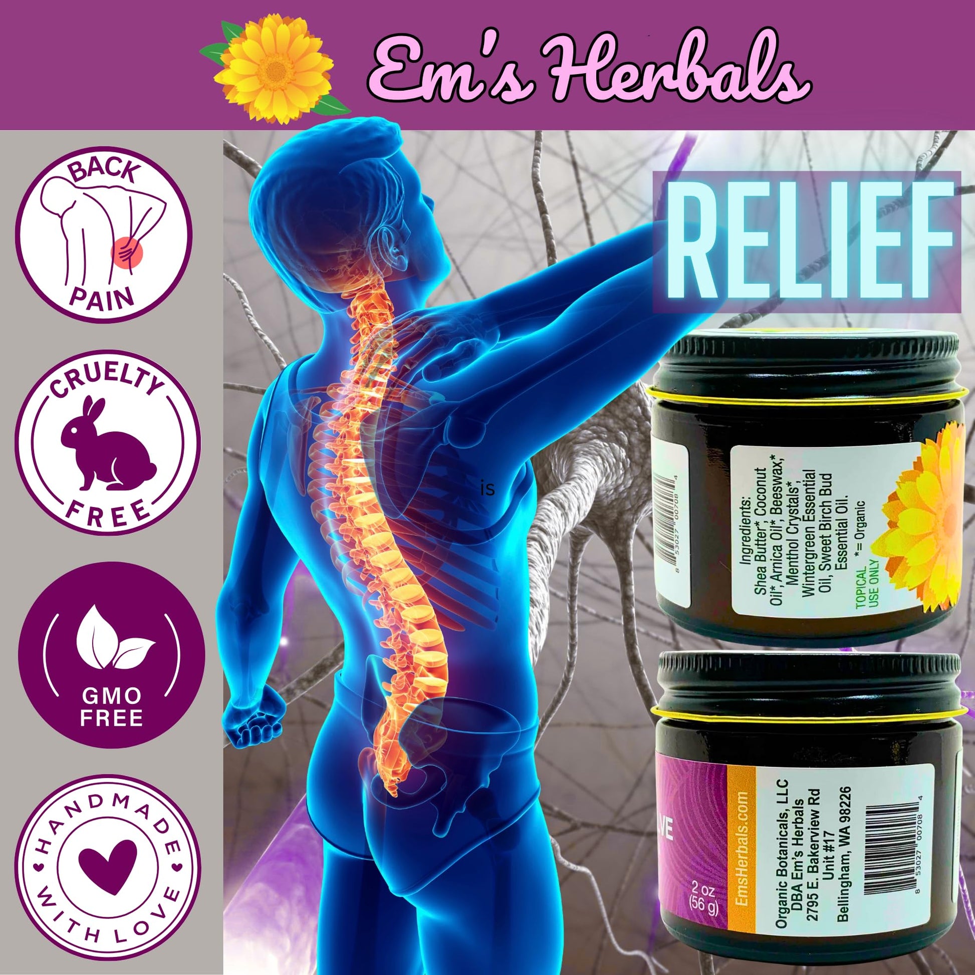 Em's Herbals, Muscle & Joint Care Arnica Salve - Amplified Arnica Salve Made with Menthol Crystals, and Effective Essential Oils to Penetrate Deep into Muscles, Joints, and Back Discomfort (2 oz) Em's Herbals Au supplements