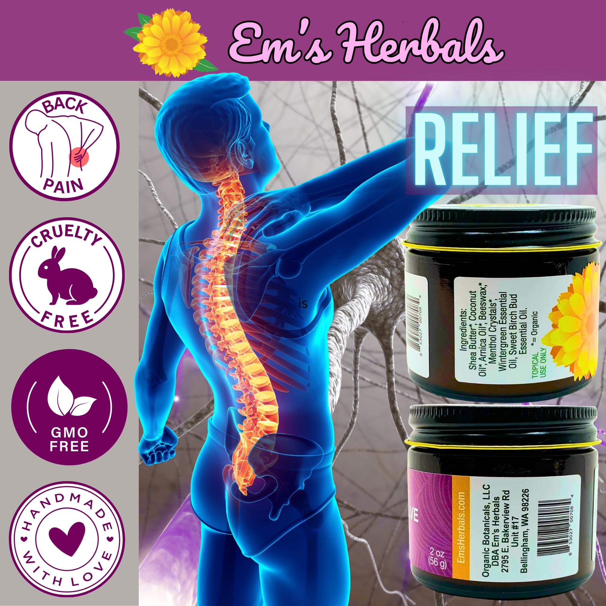 Em's Herbals, Muscle & Joint Care Arnica Salve - Amplified Arnica Salve Made with Menthol Crystals, and Effective Essential Oils to Penetrate Deep into Muscles, Joints, and Back Discomfort (2 oz) Em's Herbals Au supplements