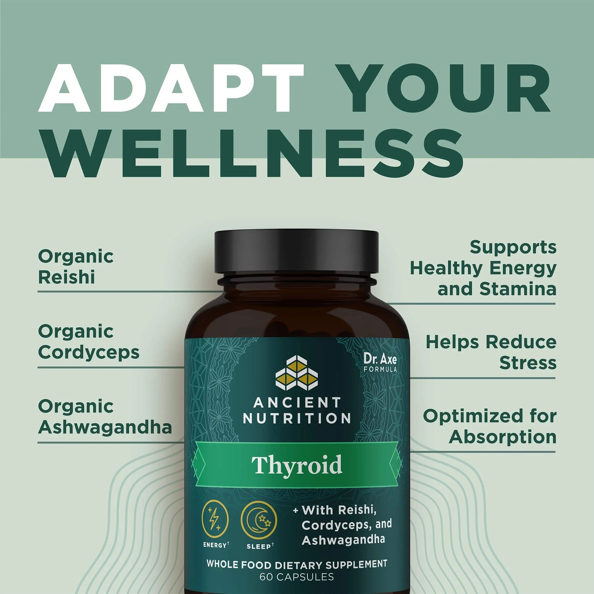 Ancient Nutrition Thyroid Support Supplement with Ashwaghanda, Thyroid Capsules Ancient Nutrition Au supplements