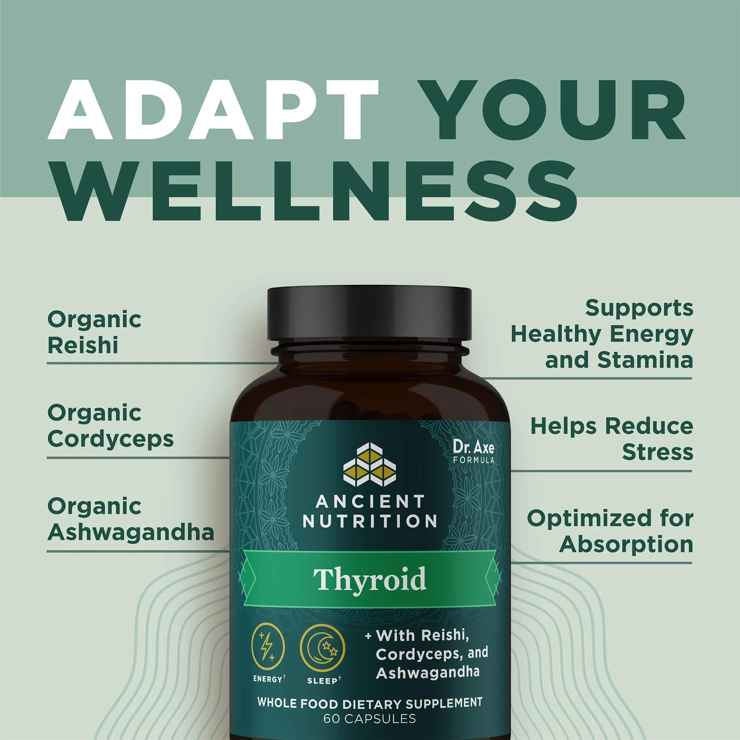Ancient Nutrition Thyroid Support Supplement with Ashwaghanda, Thyroid Capsules Ancient Nutrition Au supplements