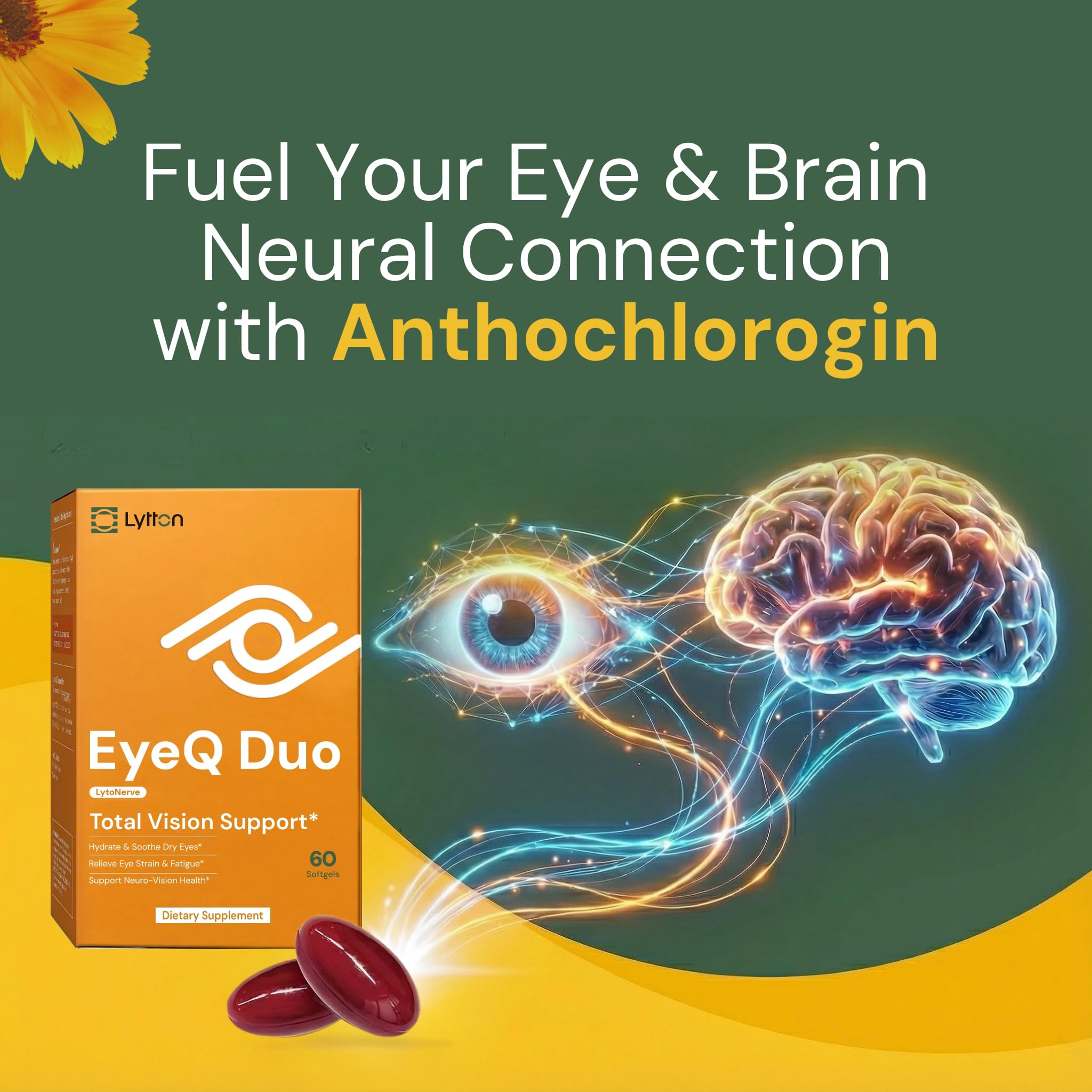 LYTTON EyeQ Duo Digital Eye & Focus Support – Patented Anthochlorogin for Brain-Eye Connection, Promotes Ocular Vitality – Rapid Visual Comfort & Natural Formula for Screen Users, 60 Softgels LYTTON Au supplements