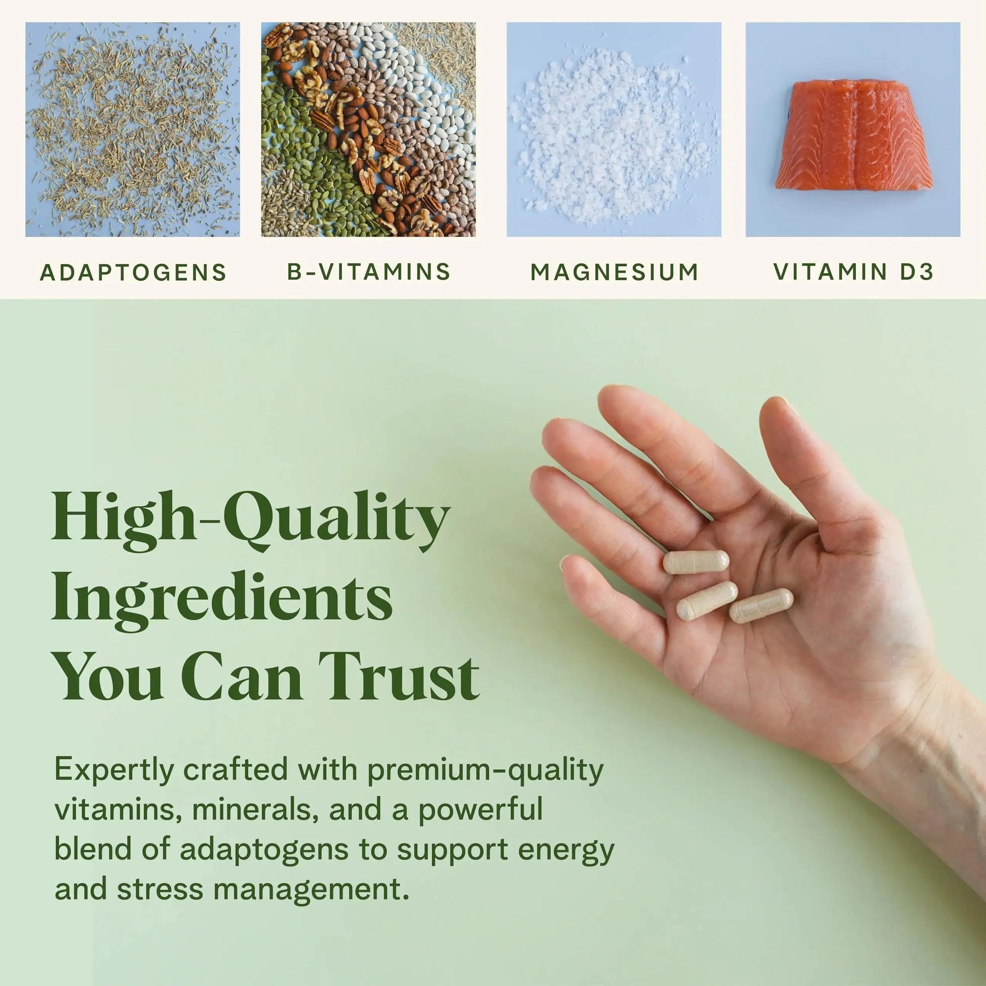 Healthy Response Daily Response Multivitamin 90 Capsules - Multivitamin + Adaptogen Blend for Energy & Stress Support Healthy Response Au supplements