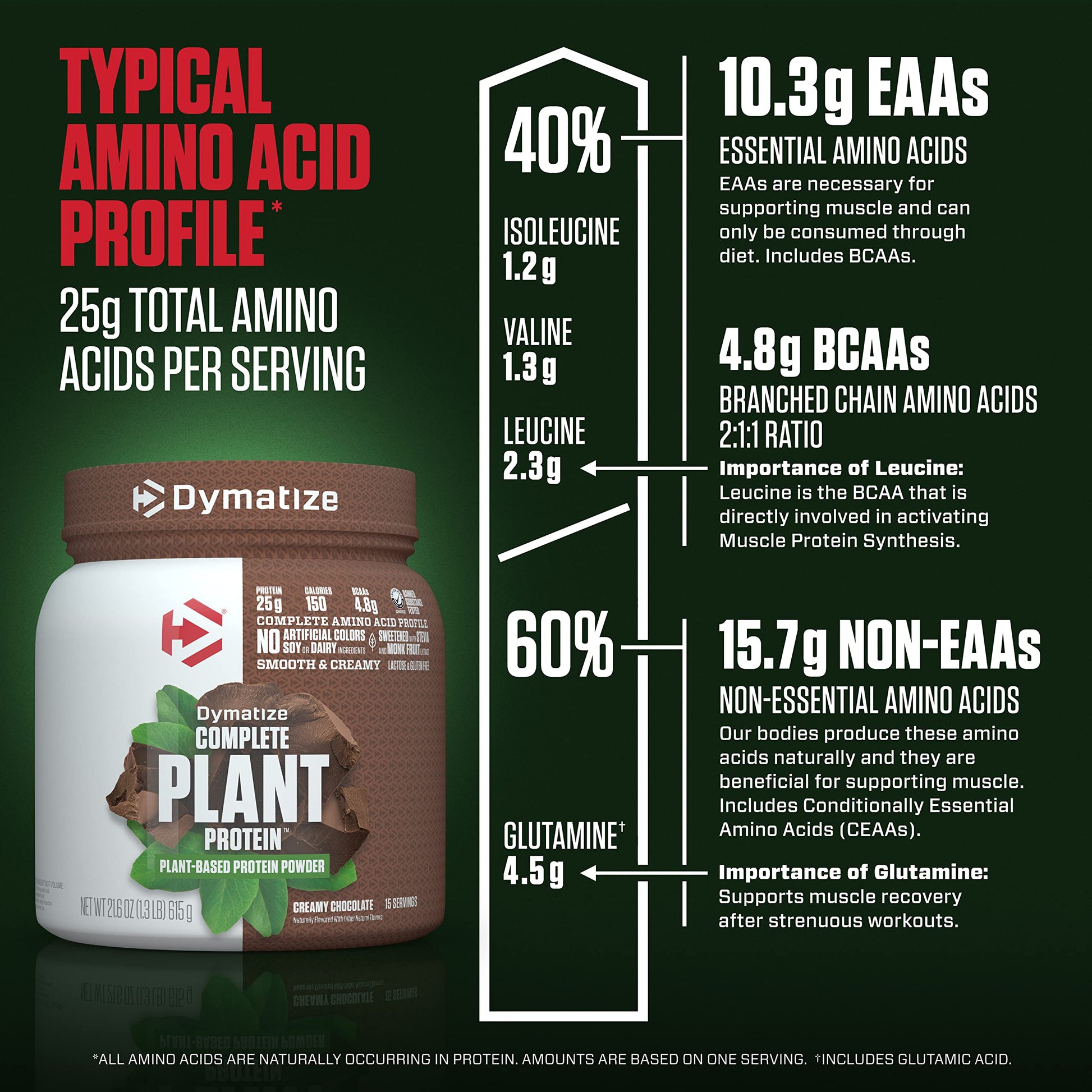 Dymatize Vegan Plant Protein, Creamy Chocolate, 25g Protein, 4.8g BCAAs, Complete Dymatize Au supplements