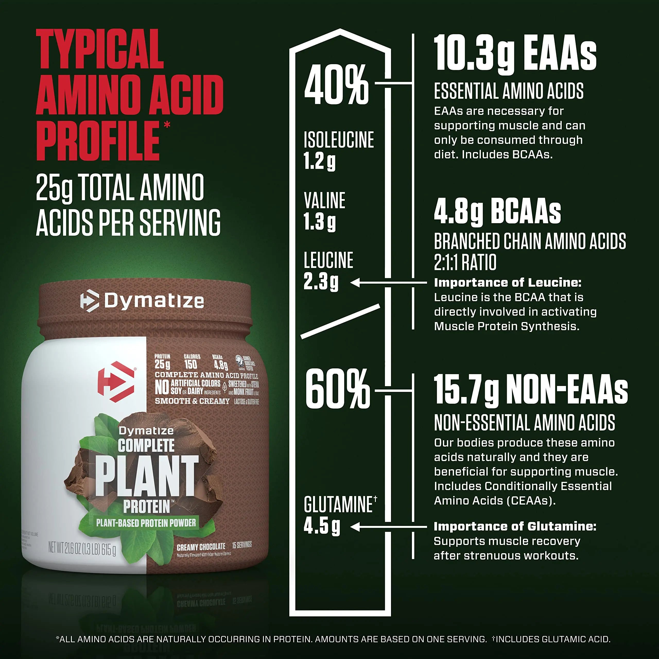 Dymatize Vegan Plant Protein, Creamy Chocolate, 25g Protein, 4.8g BCAAs, Complete Dymatize Au supplements