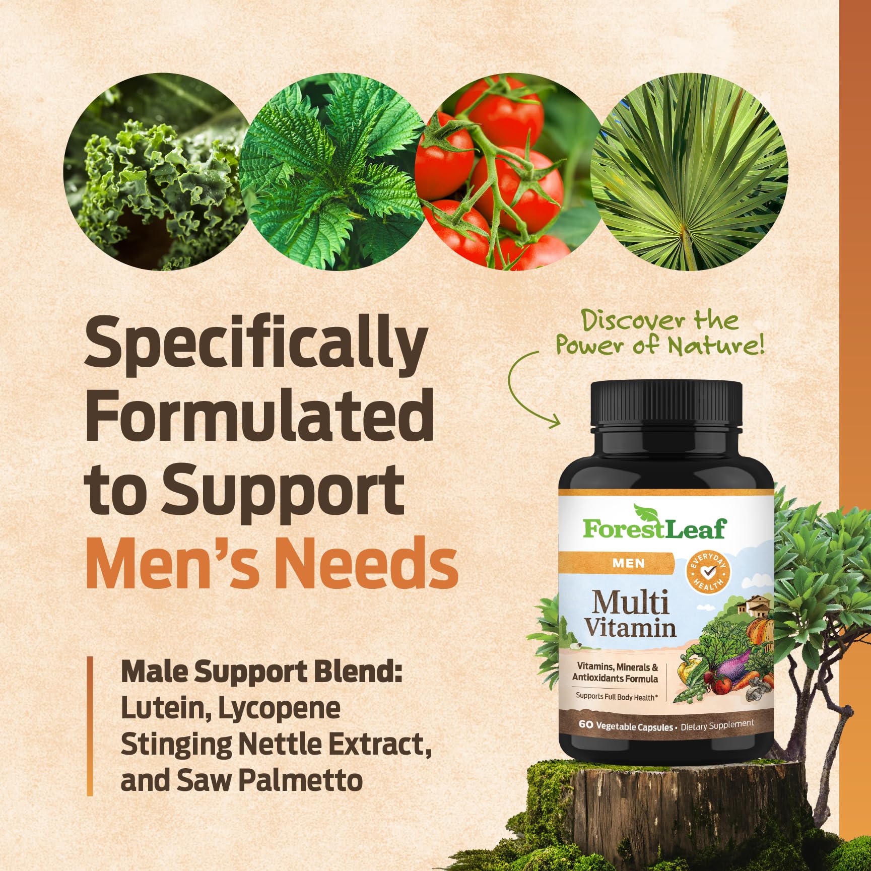 ForestLeaf Daily Vitamin Multivitamin for Men, Multi-Vitamin for Men - Mens Multivitamins & Multiminerals Supplement | All Essential Vitamins Needed for Health, Longevity & Energy | 60 Veg Caps ForestLeaf Au supplements