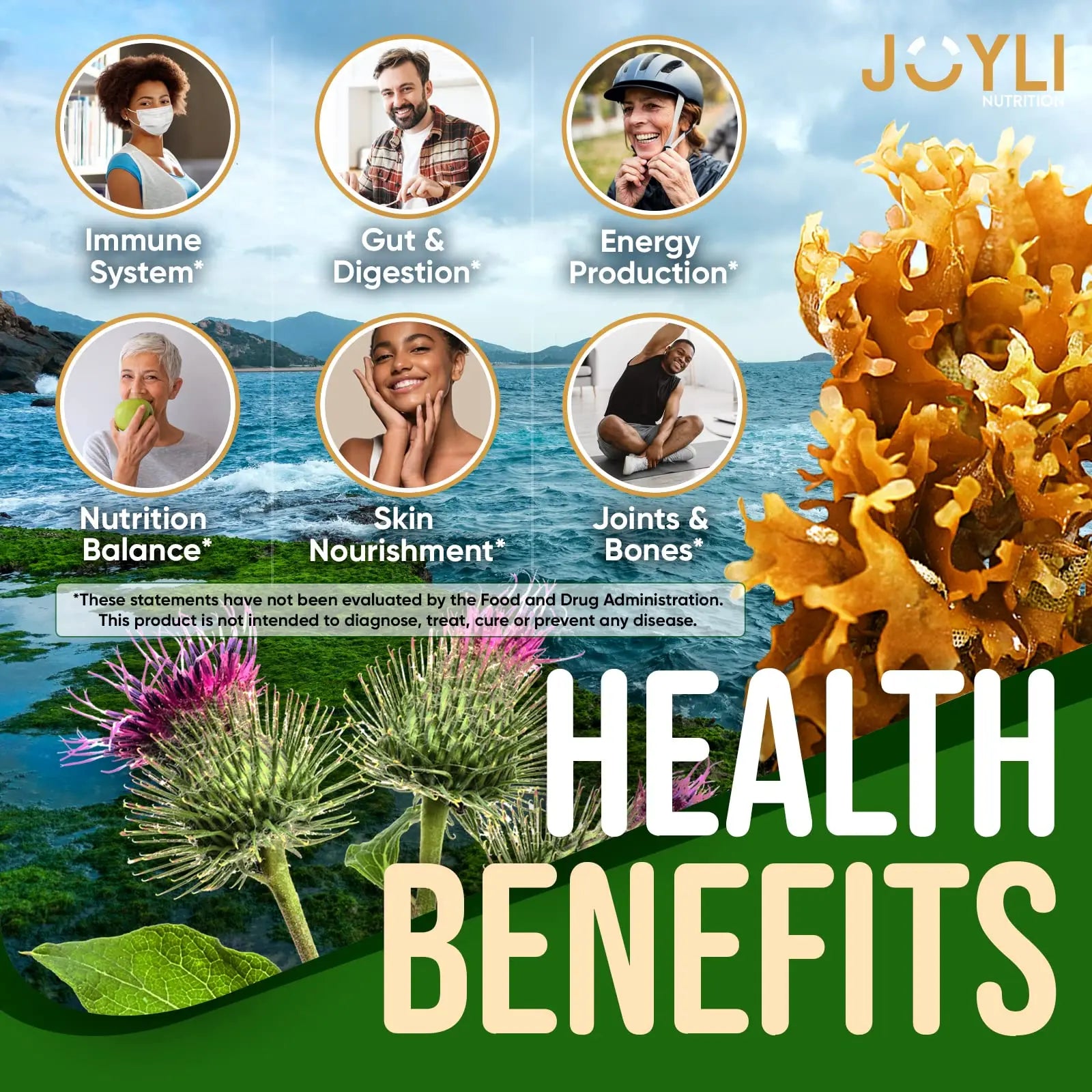 Sea Moss Gummies - Irish Seamoss Gummies for Adults & Kids - Advanced Superfood Supplement with Natural Sea Moss Gel, Bladderwrack & Burdock Root Extract - 60 Vegan Irish Moss Gummy Bears JOYLI Nutrition Au supplements