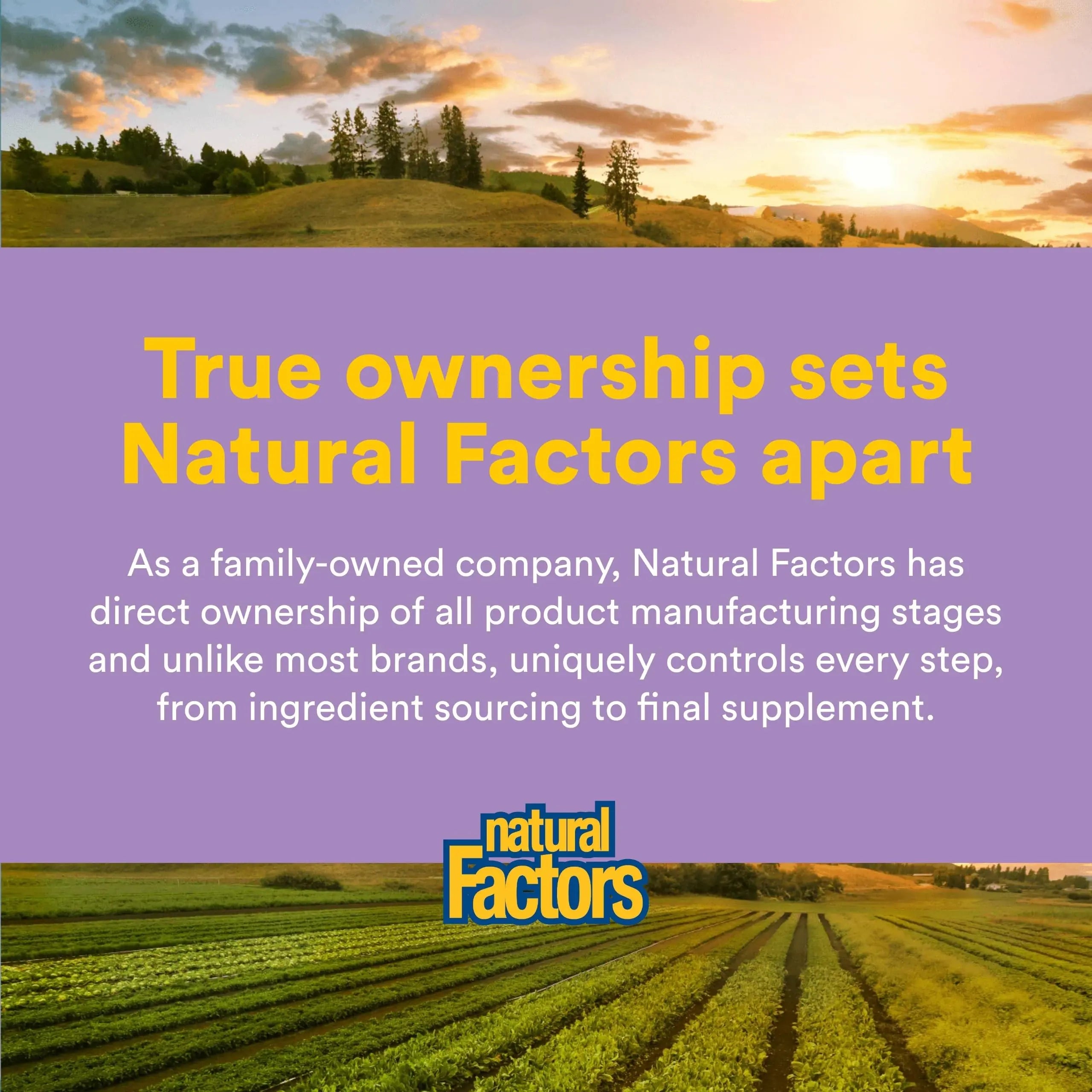 Natural Factors Pharma GABA - Dietary Supplement Supports Calm Sleep & Sleep Quality - Natural, Fast-Working Supplement Aids Focus & Brain Health - 120 Chewable Tablets (60 Servings) Natural Factors Au supplements