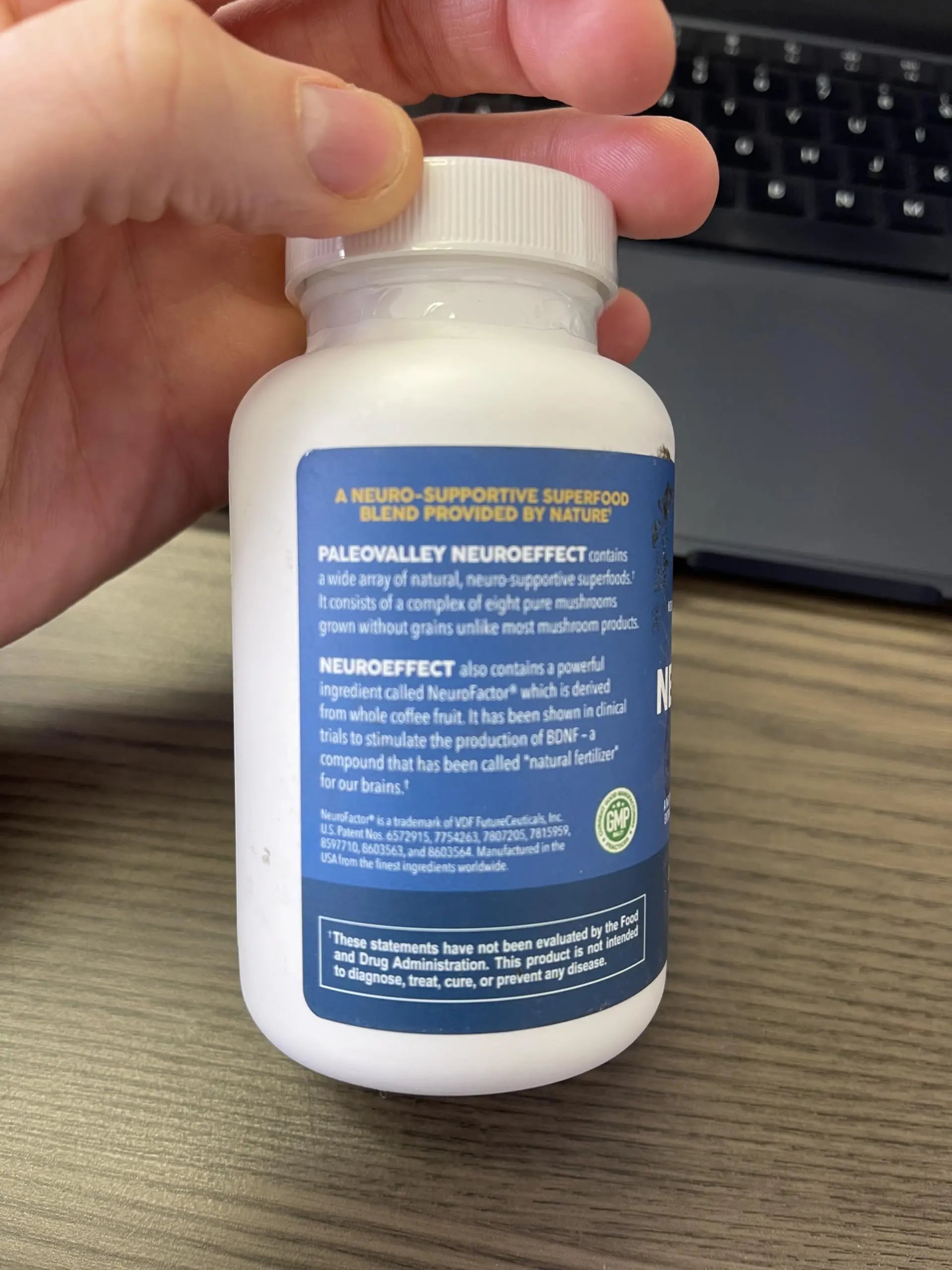 Paleovalley NeuroEffect - Neuro Mushroom Coffee Nutritional Supplement for Focus, Memory, and Energy Support - 28-Day Supply - 8 Full Spectrum Mushroom and Whole Coffee Fruit Extracts Paleovalley Au supplements