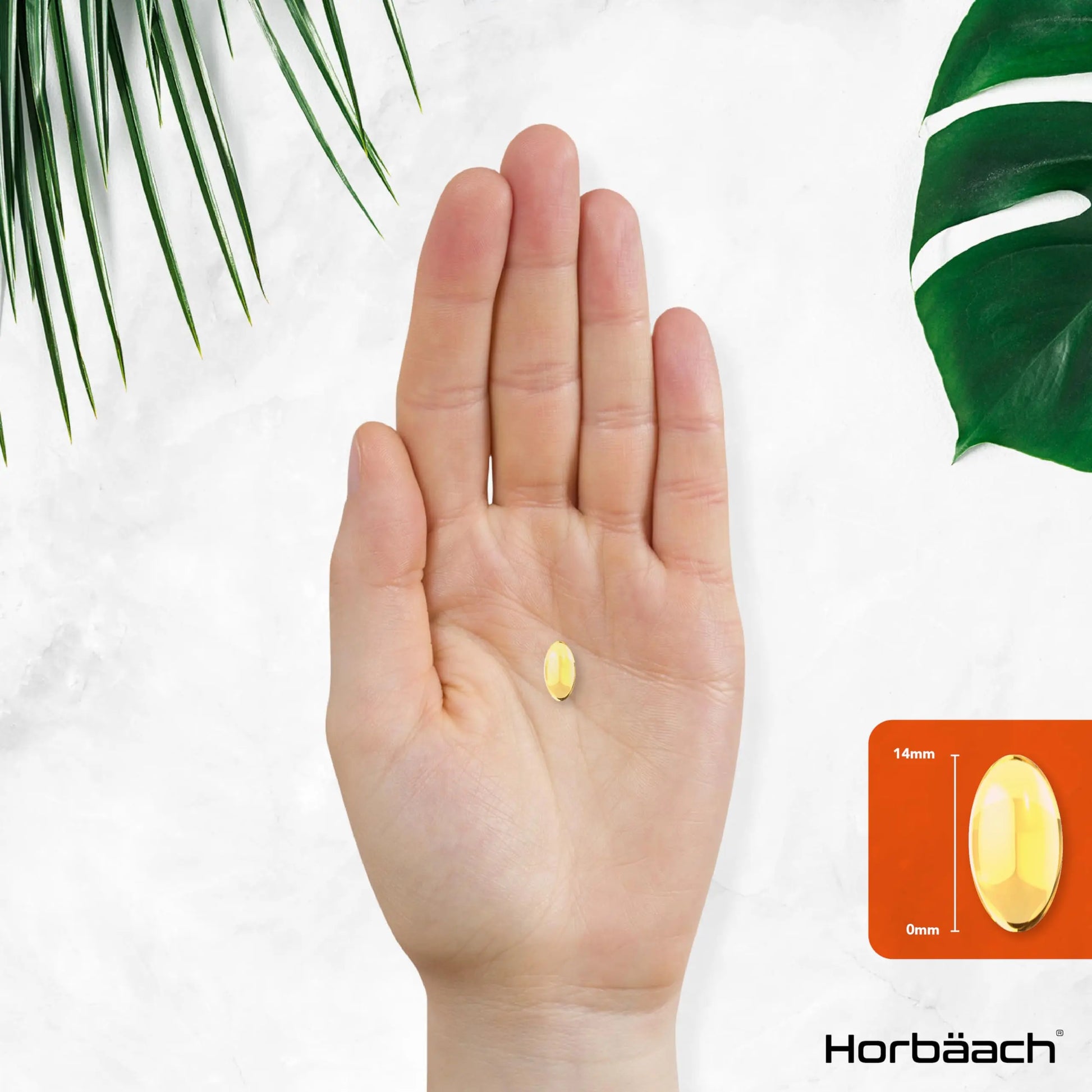 Vitamin A Capsules 10,000iu | 365 Count (1 Year Supply) | High Strength Vitamin A Supplem Horbäach Au supplements