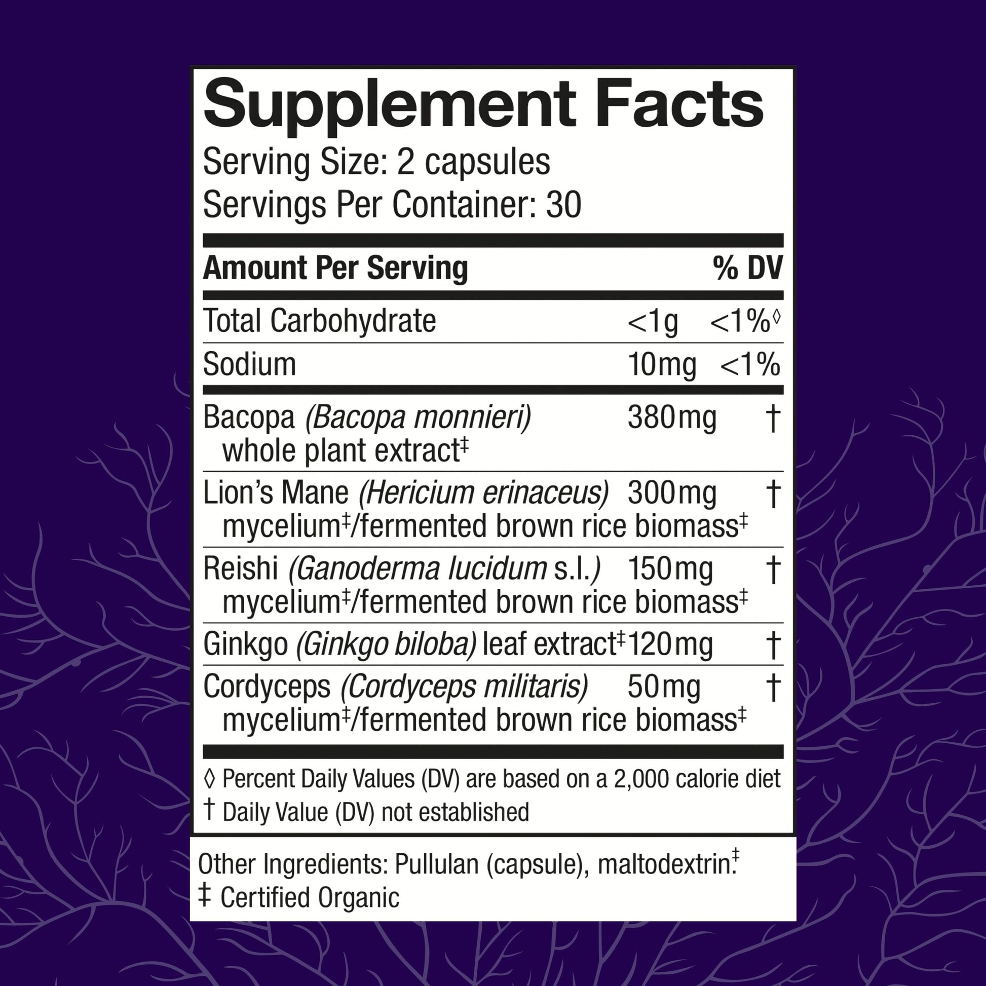 Host Defense MycoBotanicals Brain* Capsules - Brain Support Supplement with Lion's Mane, Reishi & Cordyceps Mushroom - Herbal Supplement for Memory & Focus Support - 60 Capsules Host Defense Au supplements