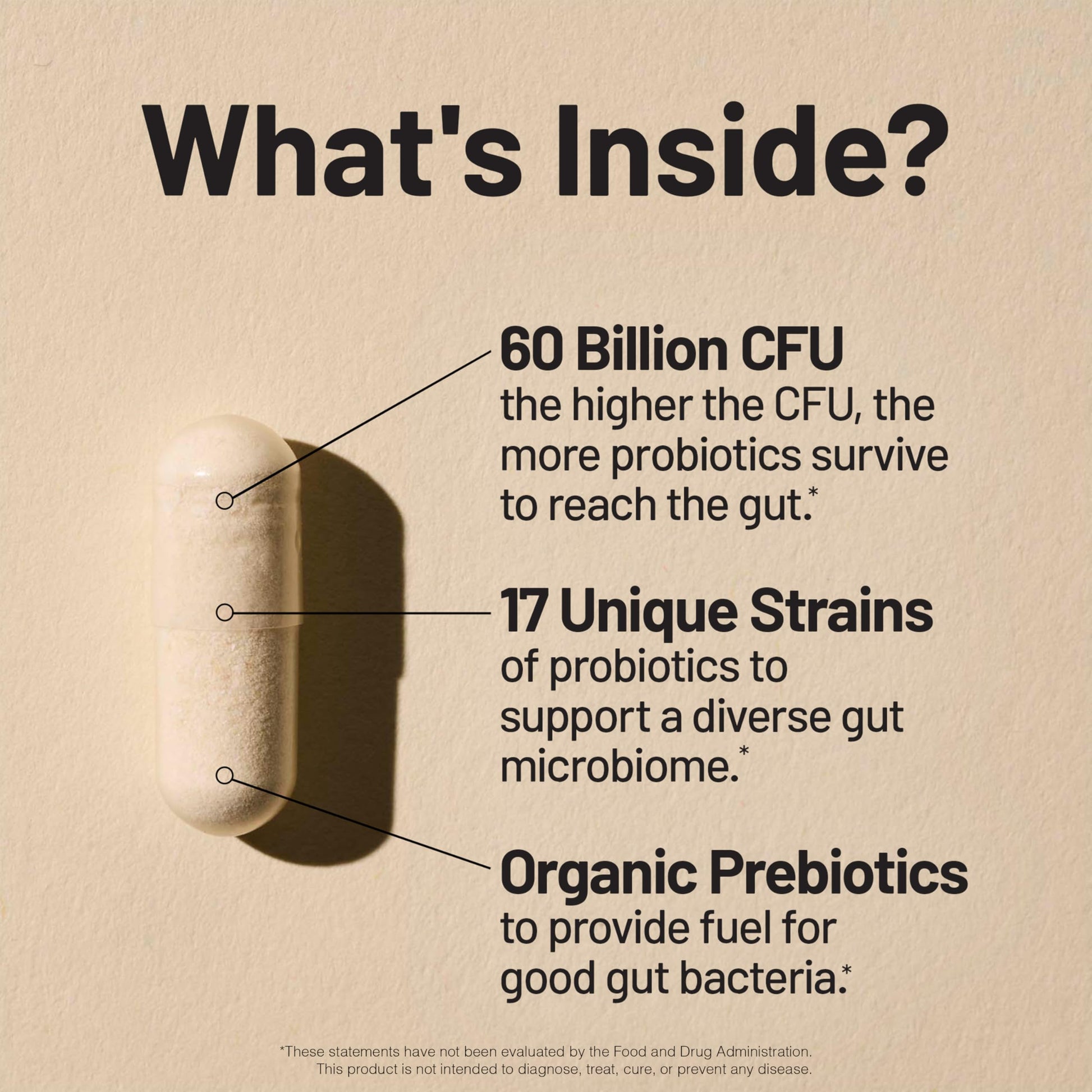 NatureWise Probiotics 60 Billion CFU - 17 Strains + Organic Prebiotics - Immune, Digestive & Gut Health Support for Women & Men - Vegetarian, Gluten-Free, Non-GMO - 30 Capsules[1-Month Supply] NatureWise Au supplements