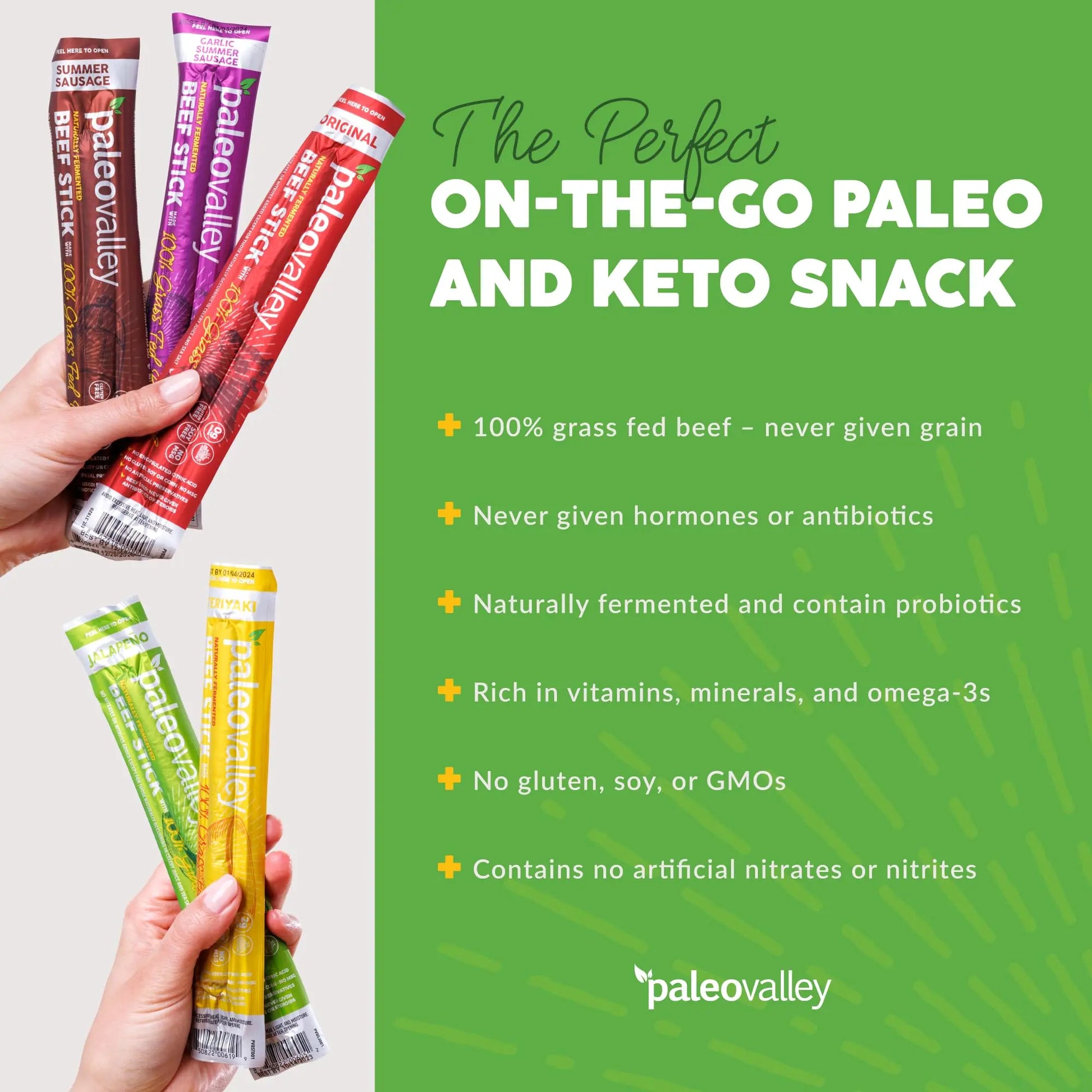 Paleovalley 100% Grass Fed Beef Sticks - Delicious Gluten Free Beef Snack - High Protein Keto Friendly, 50 Count Variety Pack Paleovalley Au supplements