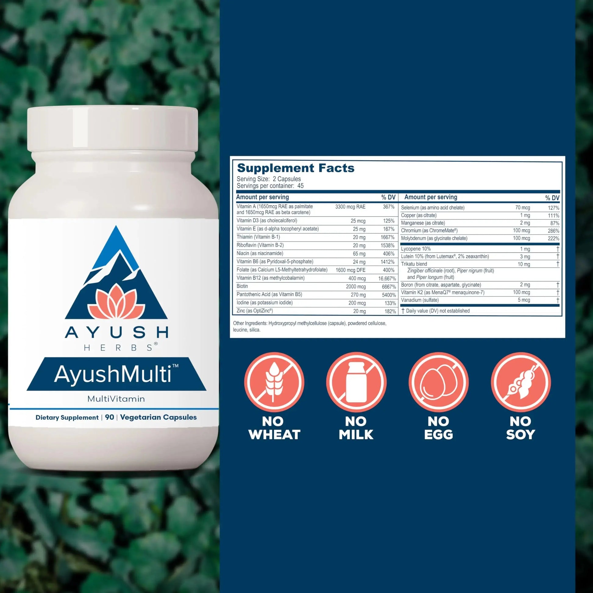 Ayush Herbs Ayush Multi - Multi Vitamin Capsules, Multivitamin with Iodine & Zinc for Men & Women Ayush Herbs Au supplements