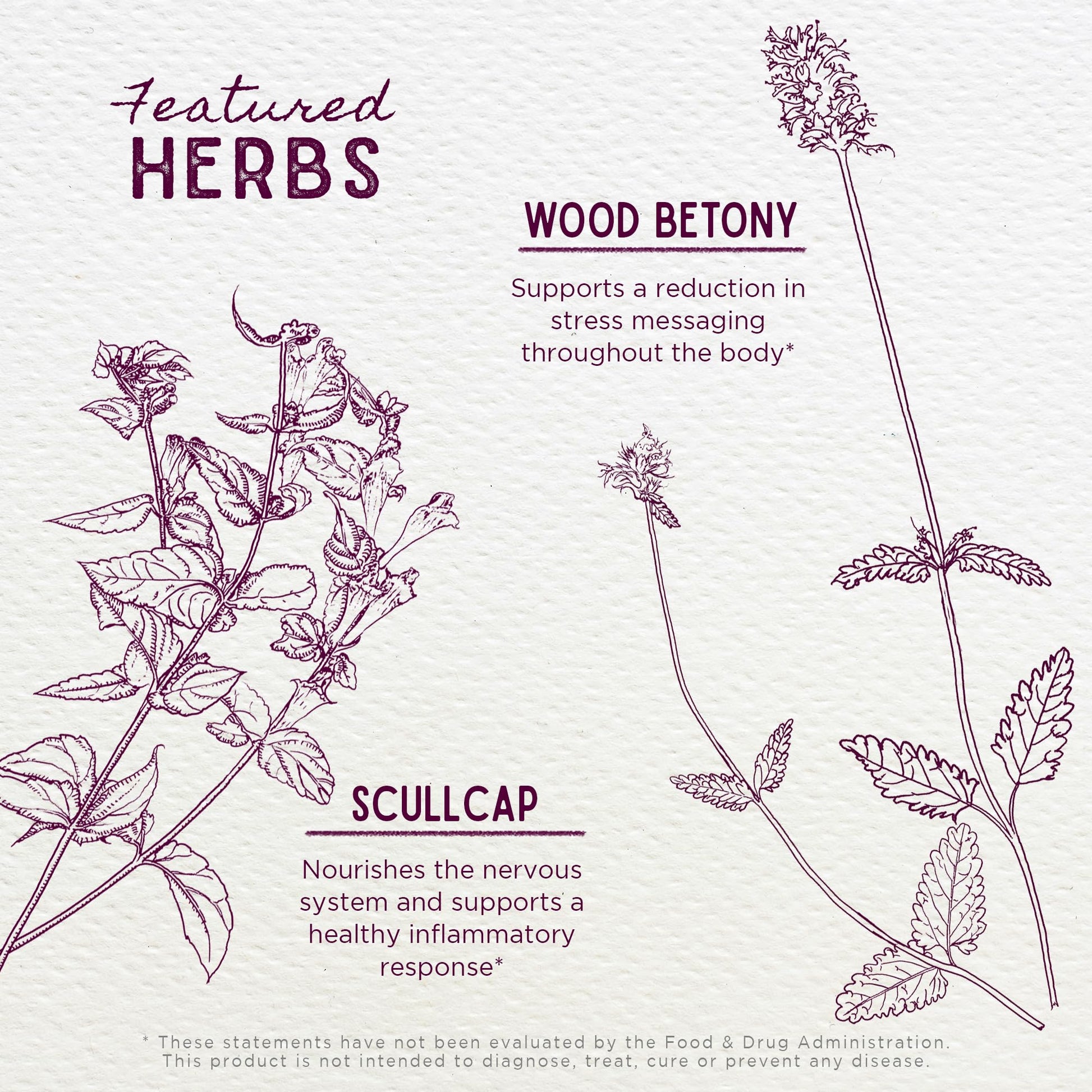 WishGarden Herbs Serious Relaxer, Liquid Herbal Muscle Relaxant with Wild Lettuce & Valerian Root, Eases Neck & Shoulder Tension, Tense Muscles, Muscle Spasms & Restless Legs, Non-GMO, Vegan, 4oz WishGarden Au supplements