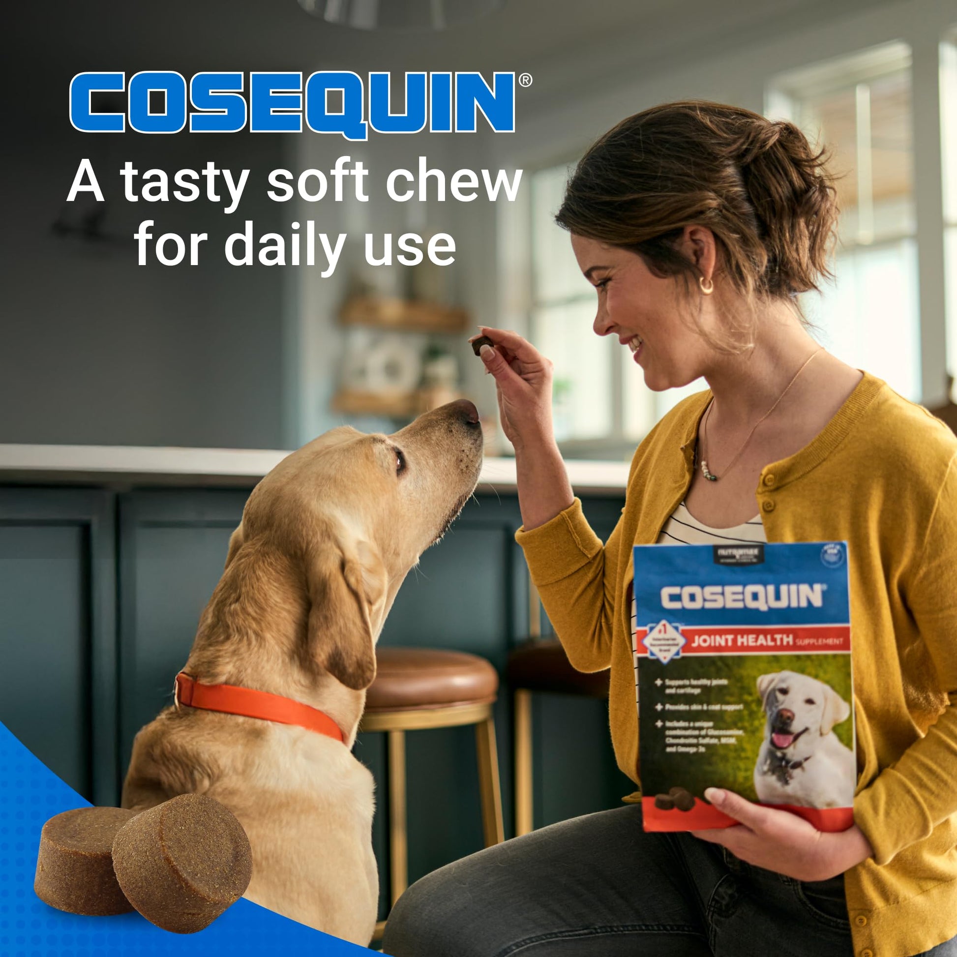 Nutramax Cosequin for Dogs Joint Health Supplement, Contains Glucosamine, Plus Chondroitin, MSM and Omega-3s, Supports Joint and Skin and Coat Health, Soft Chews, 120 Count Nutramax Laboratories Au supplements