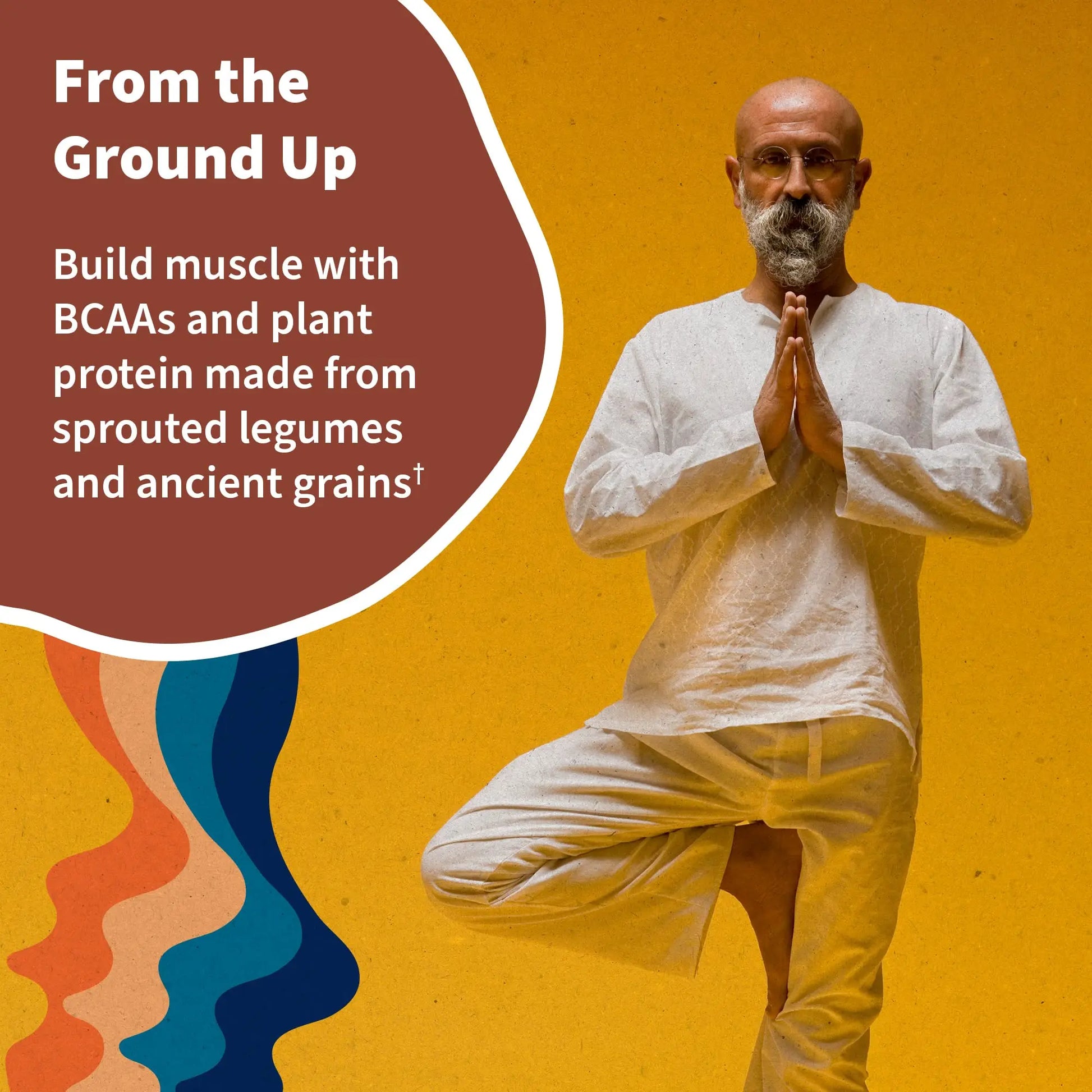 Garden of Life, Organic Vegan Vanilla Chai Protein Powder -22g Complete Plant Based Raw Garden of Life Au supplements