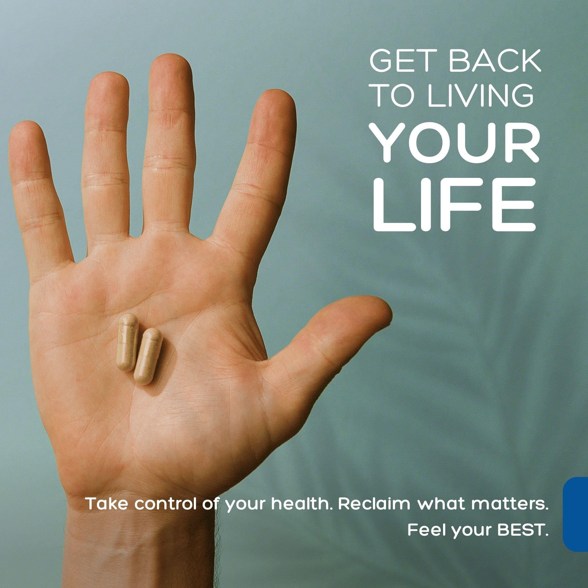 Natural Cure Labs Premium Immune Support Natural Cure Labs Au supplements