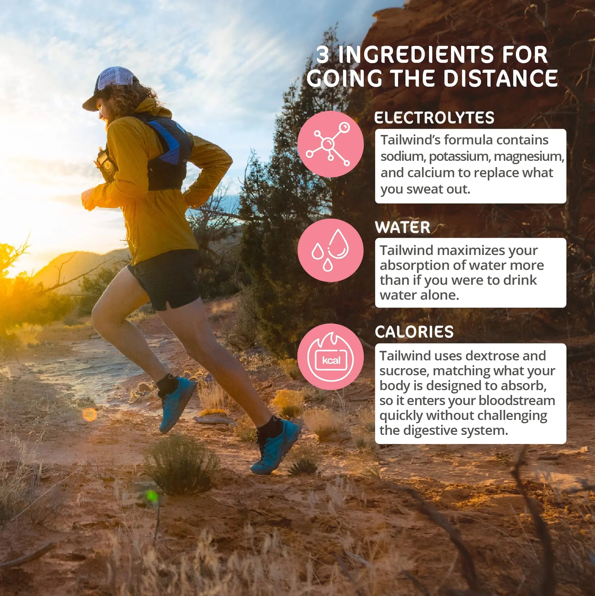 Tailwind Nutrition Endurance Fuel, Caffeine Drink Mix with Electrolytes Tailwind Au supplements