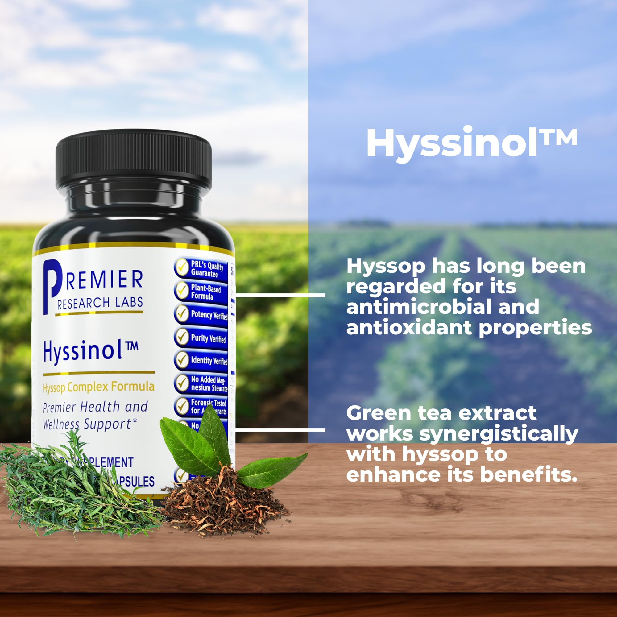 Premier Research Labs Hyssinol - Hyssop Herb, Hyssop Capsules, Wellness Pills with Organic Hyssop Dry Herb, Dietary Supplement with Green Tea, Antioxidant Support - 60 Vegetarian Capsules Premier Research Labs Au supplements