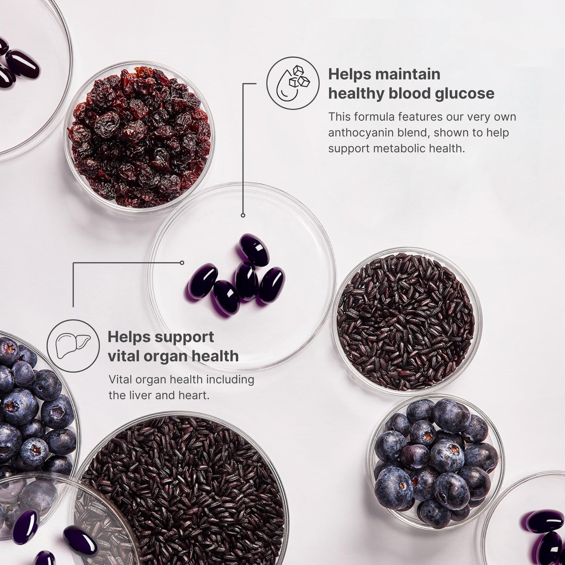 Nu Skin ageLOC Meta | Premium Dietary Supplement | Advanced Soft Gel Capsules Promoting Metabolic Health, Immune Support, Antioxidant Defense, and Improved Gut Health Nu Skin Au supplements
