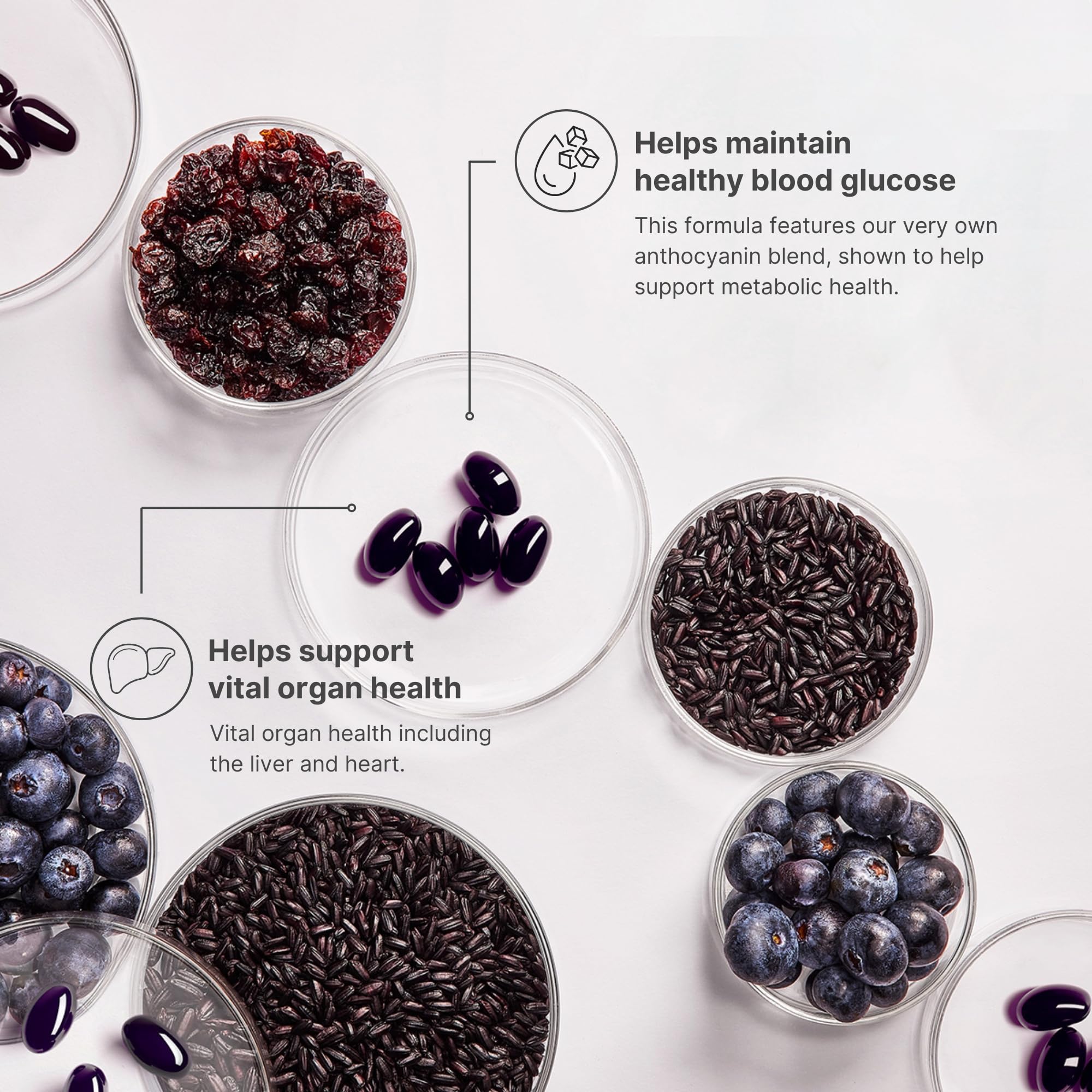 Nu Skin ageLOC Meta | Premium Dietary Supplement | Advanced Soft Gel Capsules Promoting Metabolic Health, Immune Support, Antioxidant Defense, and Improved Gut Health Nu Skin Au supplements