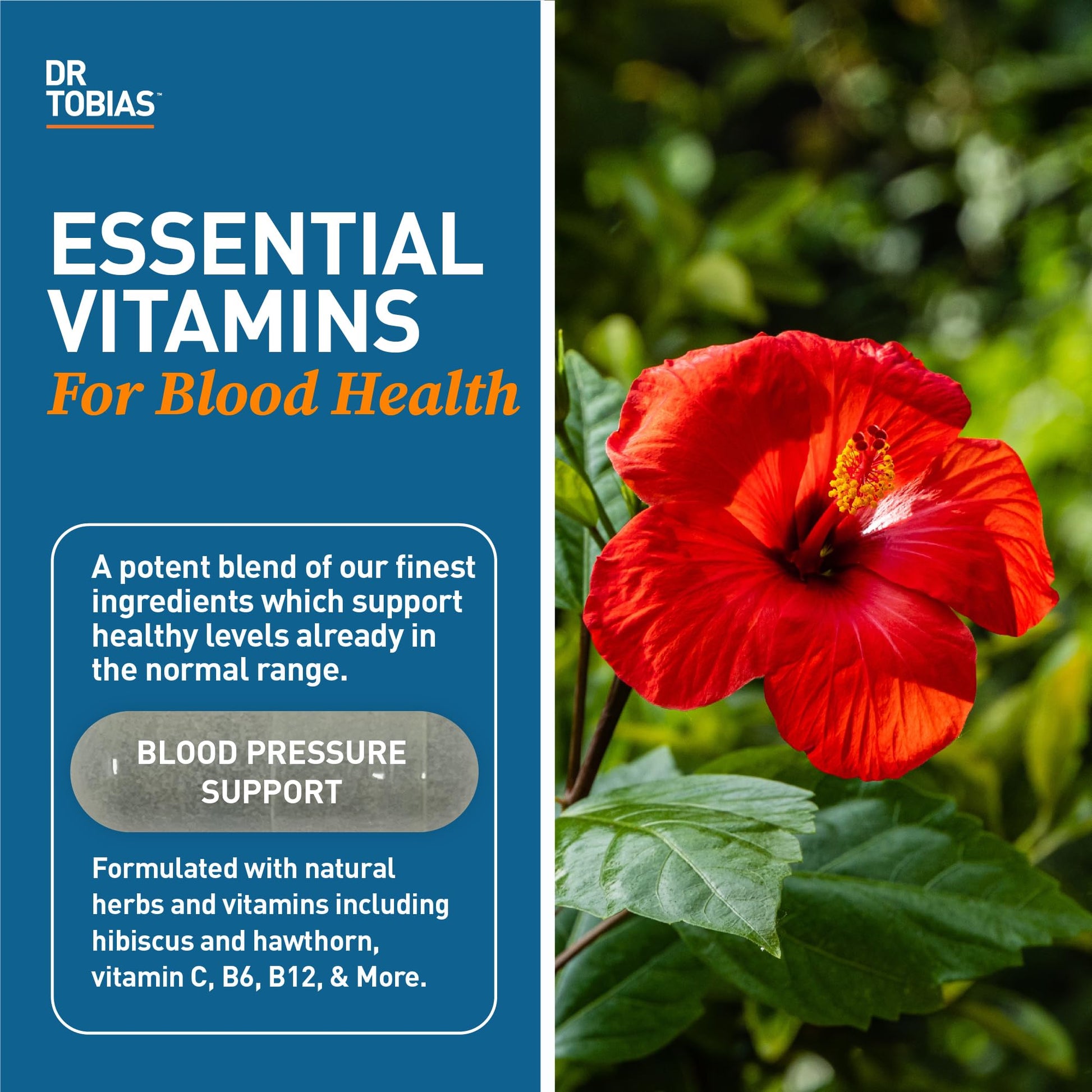 Dr. Tobias Blood Pressure Support Supplement with Hawthorn, Hibiscus Flower, Olive Leaf & Garlic, Supports Normal Circulatory Health with Vitamins C, B6, B12, Niacin, Folate & Herbs, 90 Capsules Dr. Tobias Au supplements