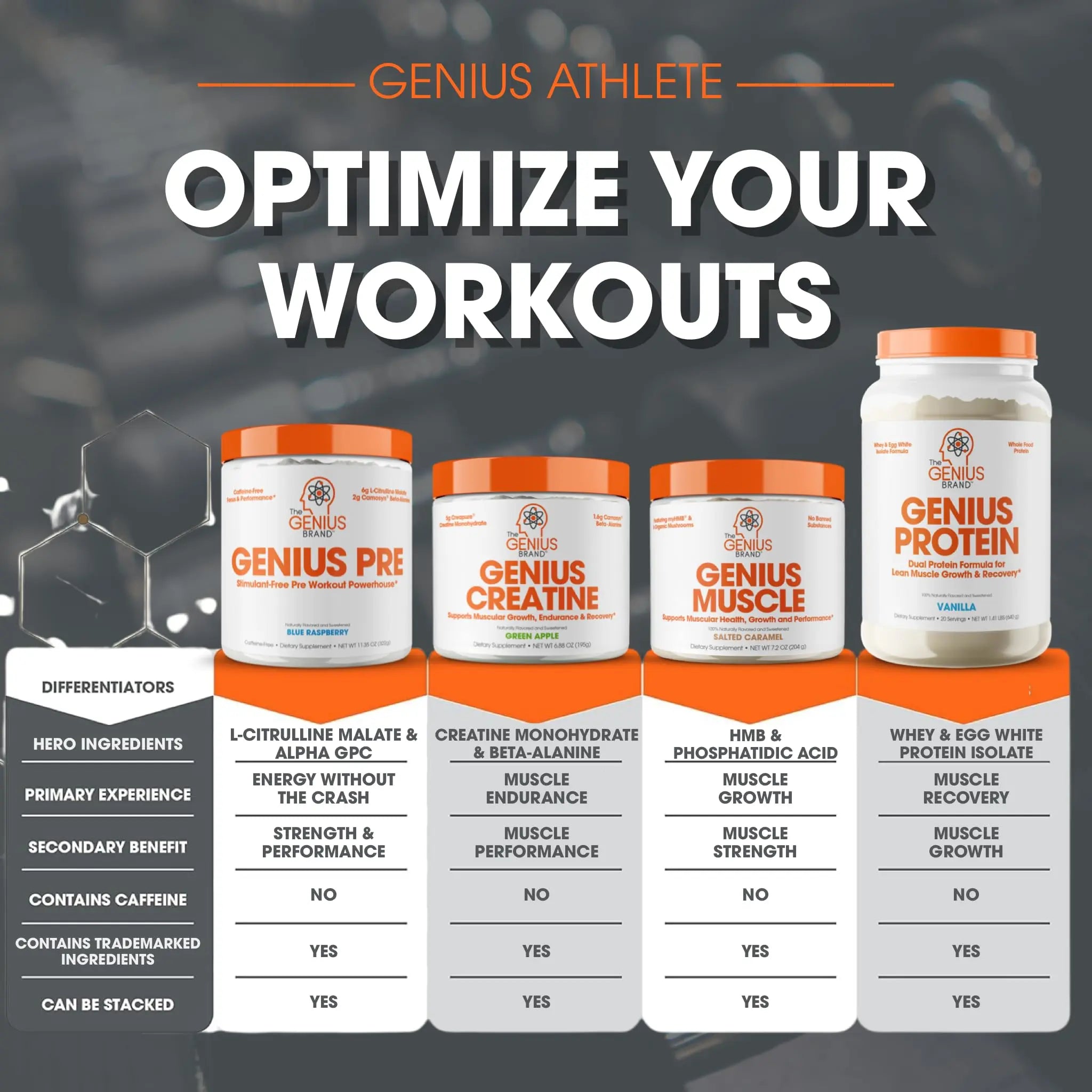 Genius Pre Workout Powder, Blue Razz, and Genius Micronized Creatine Monohydrate The Genius Brand Au supplements
