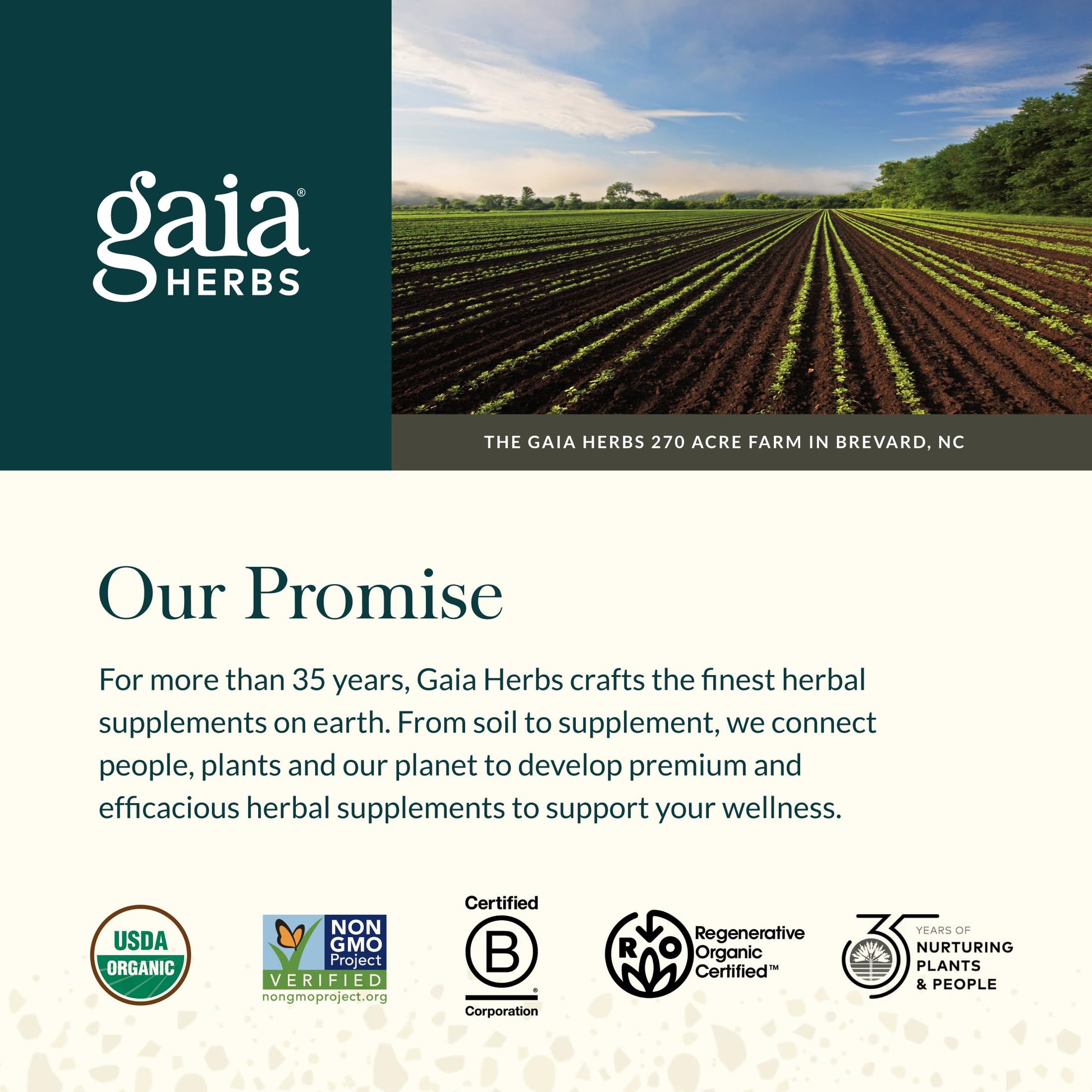 Gaia Herbs Period Cycle Support - Supports Hormone Balance & PMS Relief* - Herbal Supplement with Vitex Berry & Schisandra - Free from Gluten, Dairy & Soy - 60 Vegan Capsules (60 Servings) Gaia Herbs Au supplements