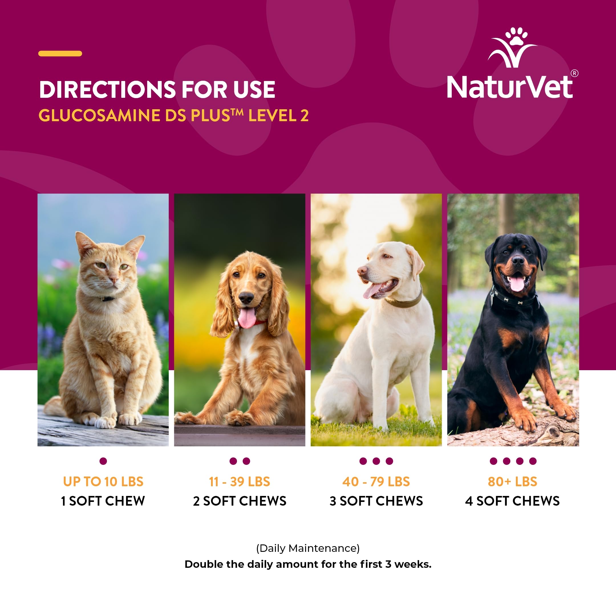 NaturVet – Glucosamine DS Plus - Level 2 Moderate Care – Supports Healthy Hip & Joint Function – Enhanced with Glucosamine, MSM & Chondroitin – for Dogs & Cats–120 Soft Chews NaturVet Au supplements