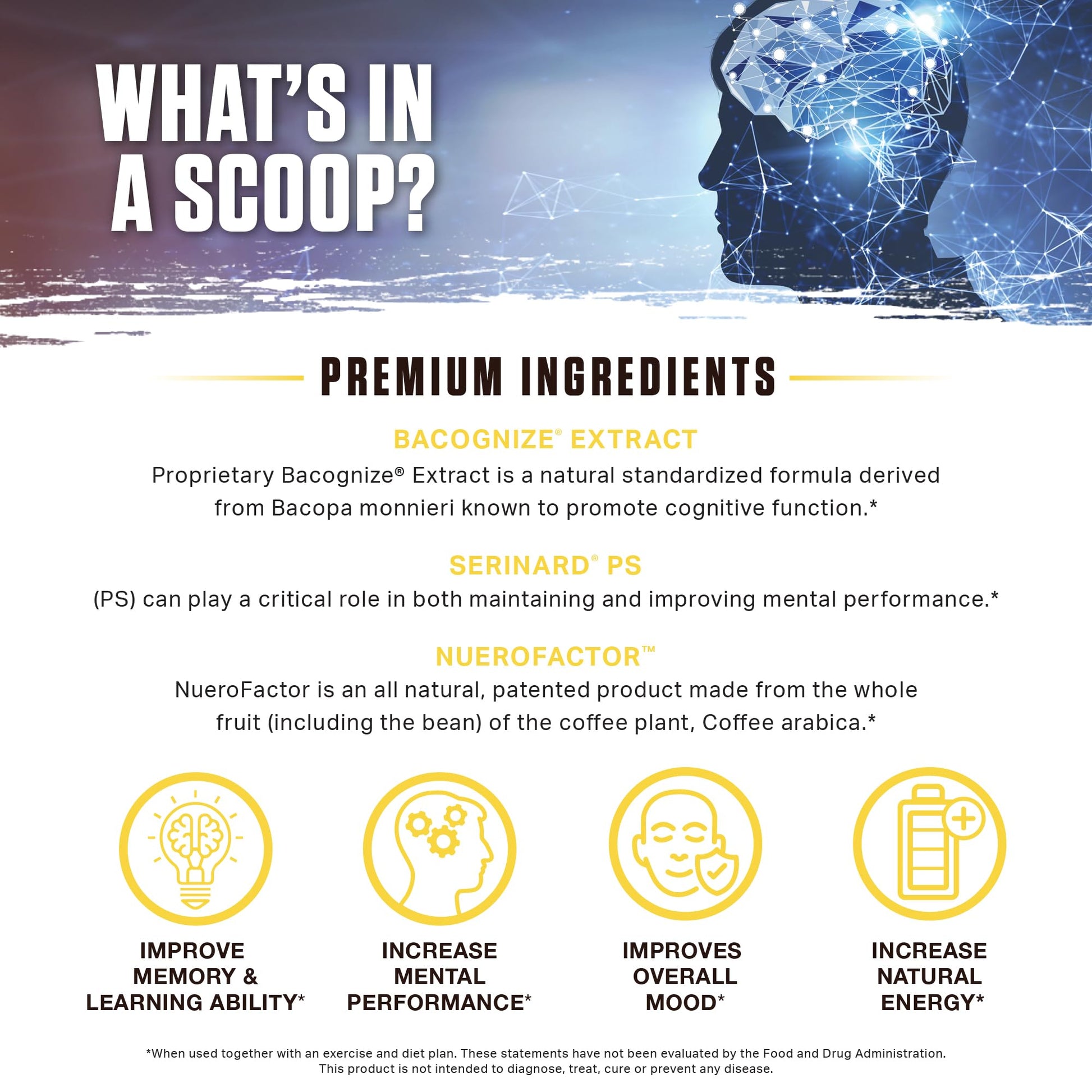 Ambrosia Mental Jewels Nootropic Brain Supplement Powder | Alpha GPC, Bacopa & Phosphatidylserine | Memory, Focus & Concentration Support | 30 Servings | Cherry Limeade Ambrosia Au supplements